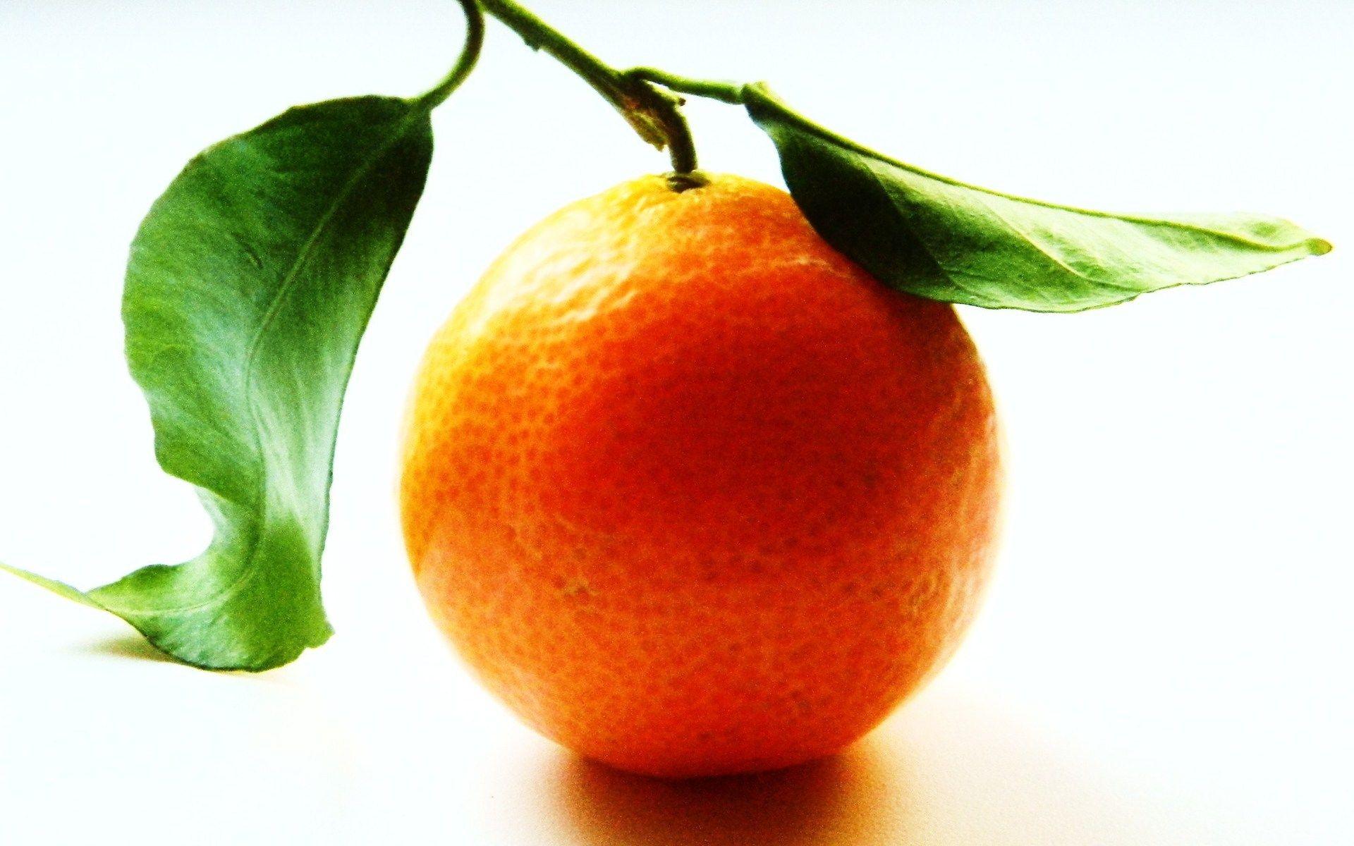 Fruit Orange Wallpaper 7007
