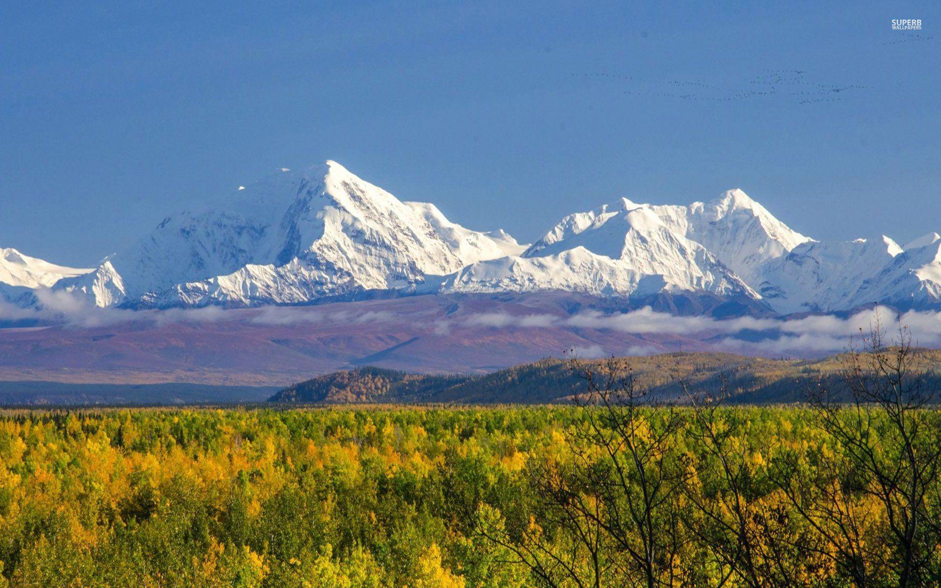 The highest mountain in north america are. Национальный парк Денали, штат Аляска. Гора Денали (Мак-Кинли). Аляска гора Денали. Гора Маккинли Аляска.