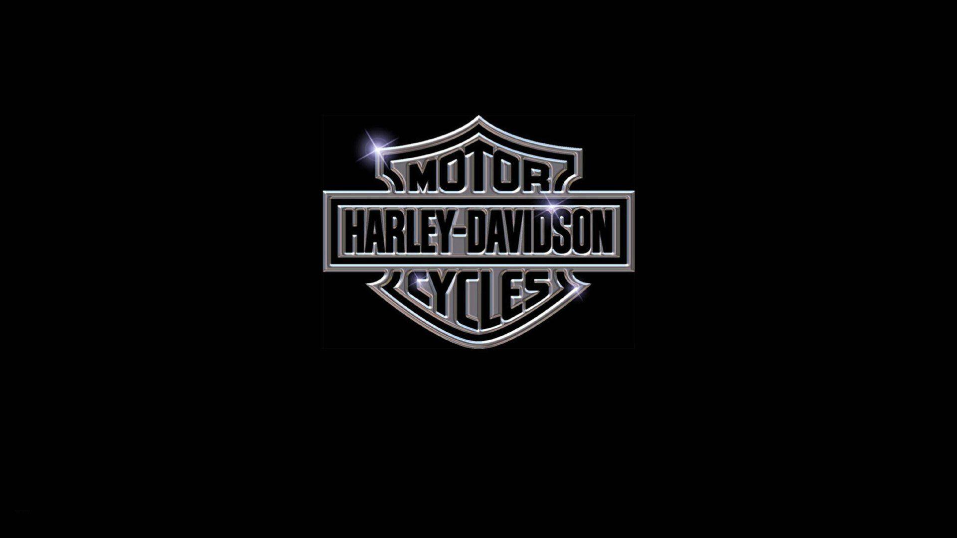 Bike Harley Davidson Logo Logo Brand Brand Bike Harley