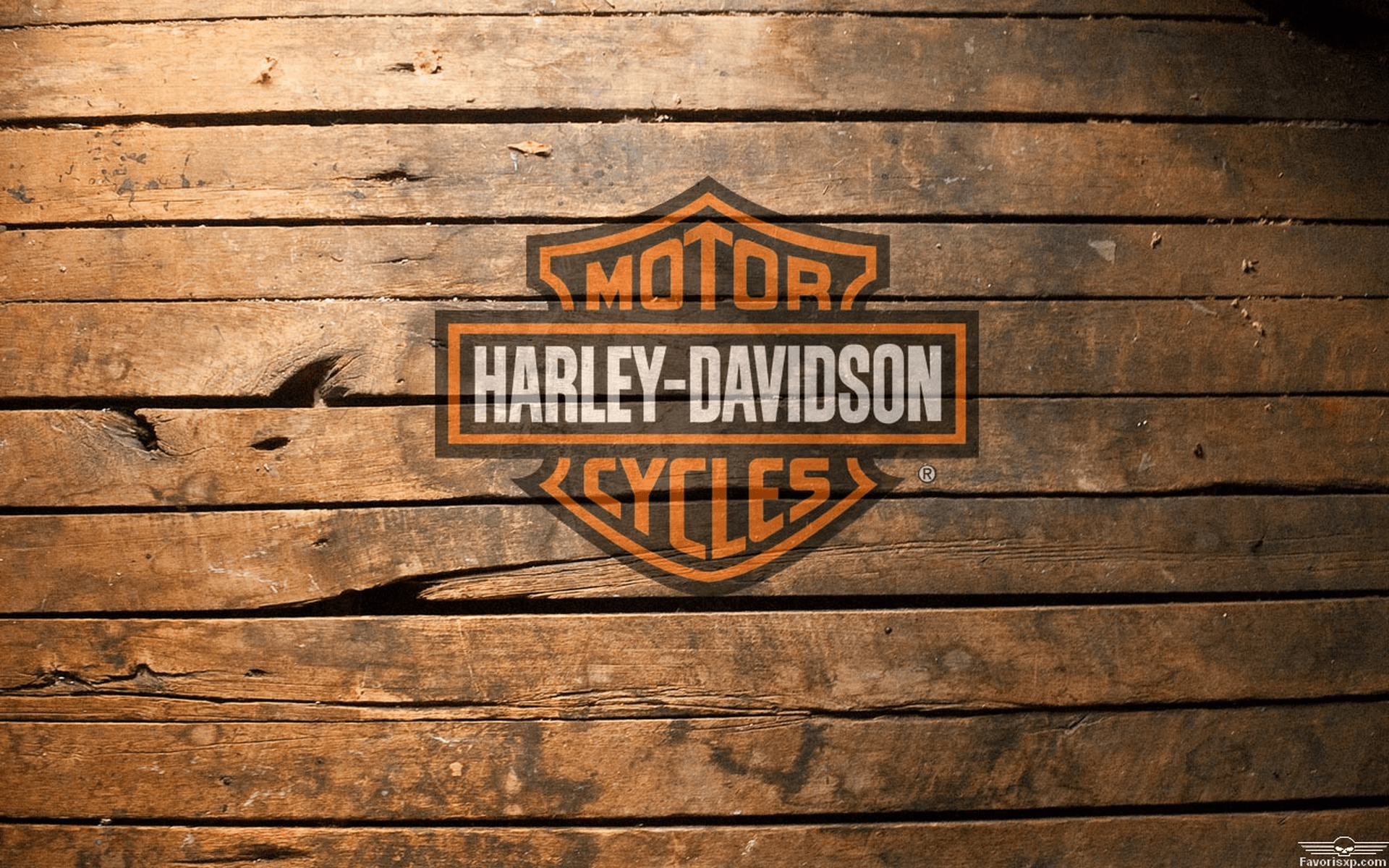 Harley Davidson logo wallpaper