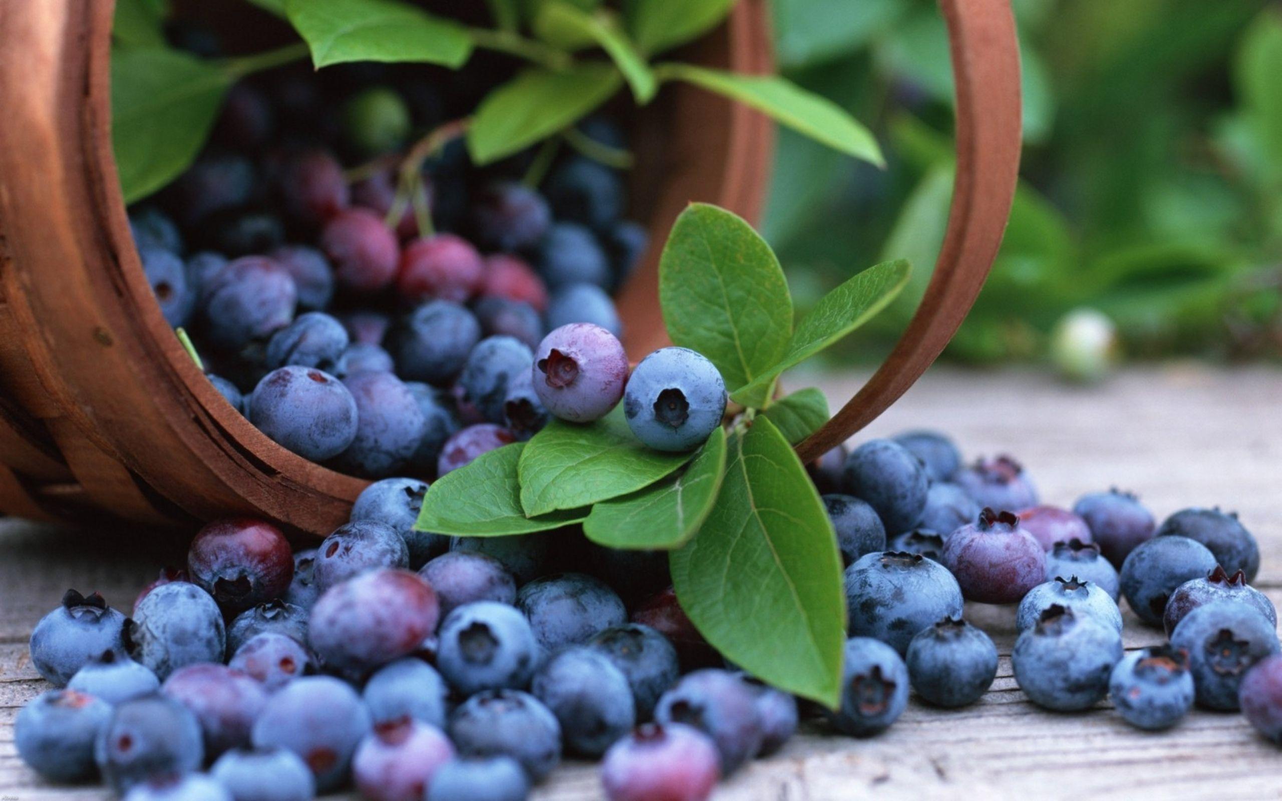 Blueberry Wallpapers - Wallpaper Cave