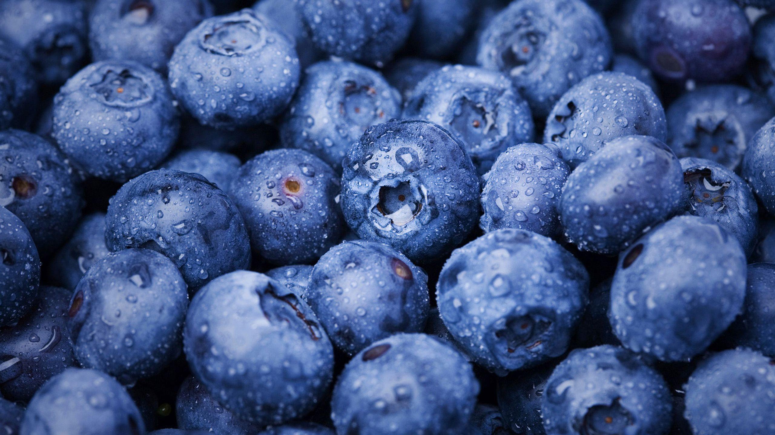 Download wallpaper 1125x2436 fresh blueberries darkblue fruit iphone  x 1125x2436 hd background 21796