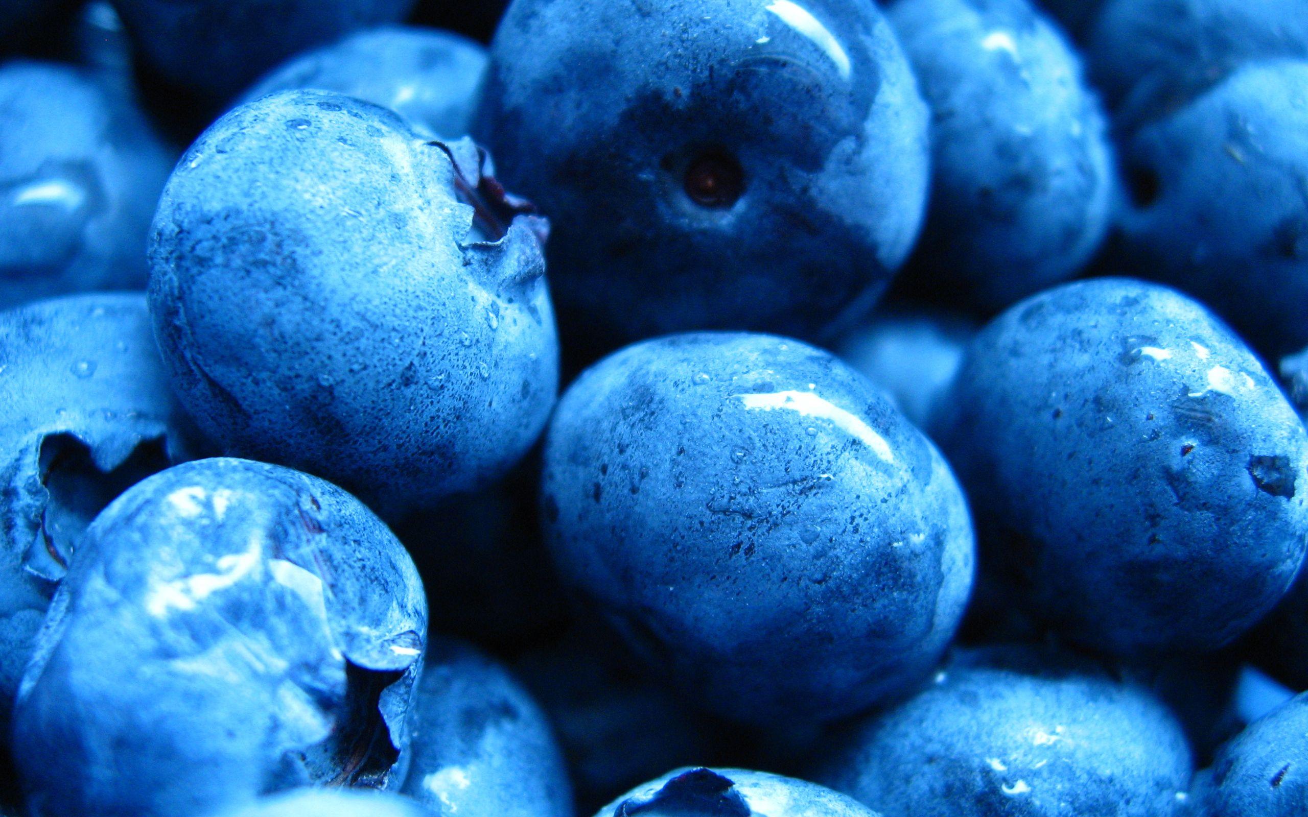 Blueberry Full HD Wallpaper and Backgroundx1600