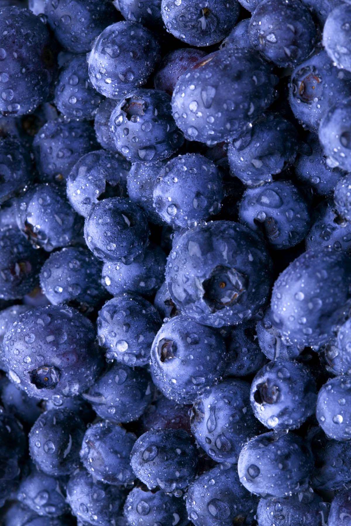 Blueberry wallpaper