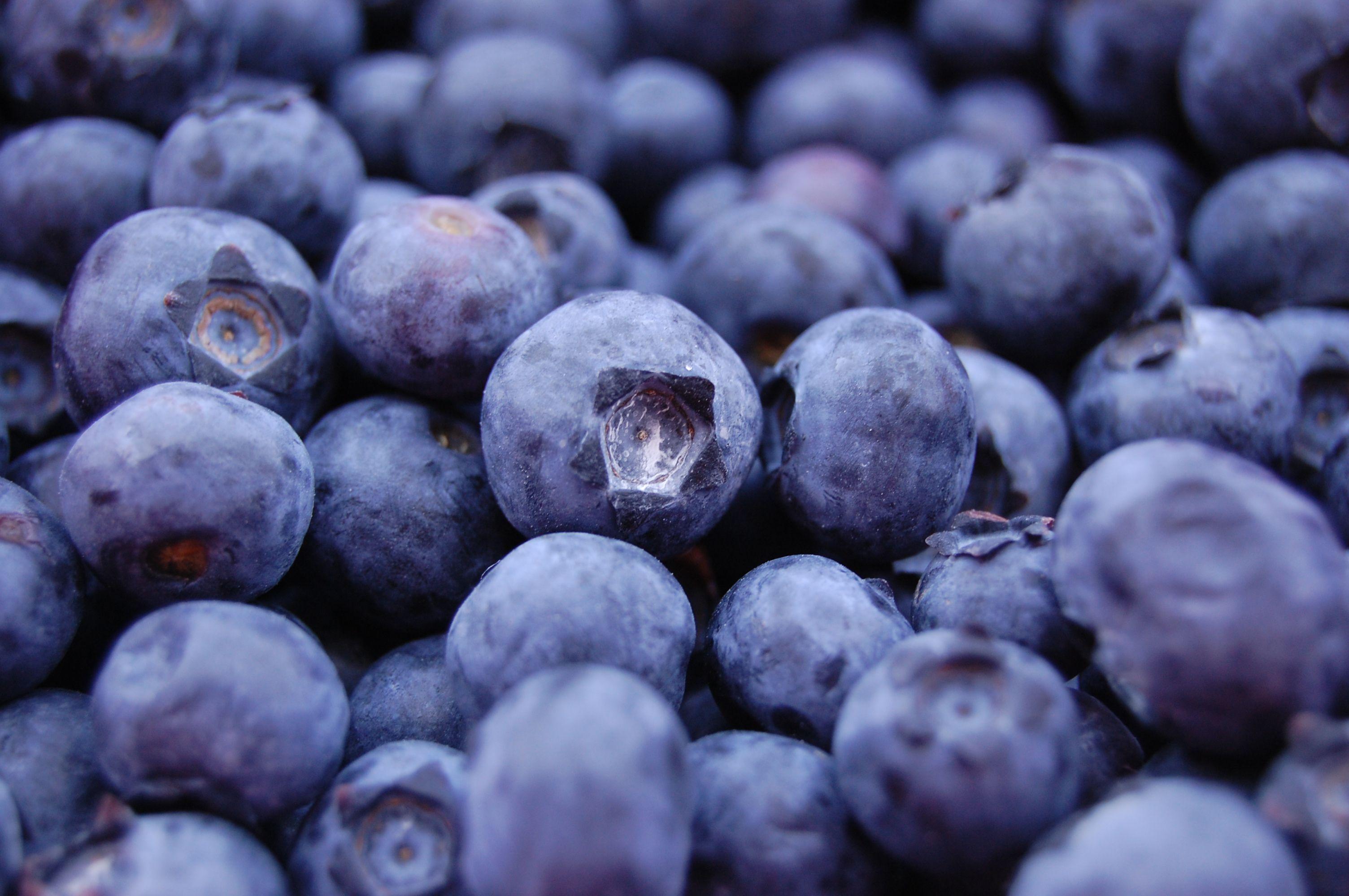 Food Blueberry wallpaper (Desktop, Phone, Tablet)