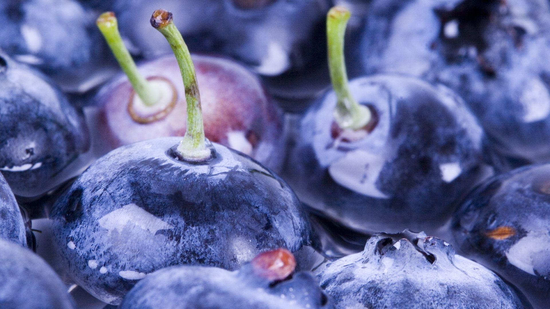 Blueberry Full HD Wallpaper and Backgroundx1080