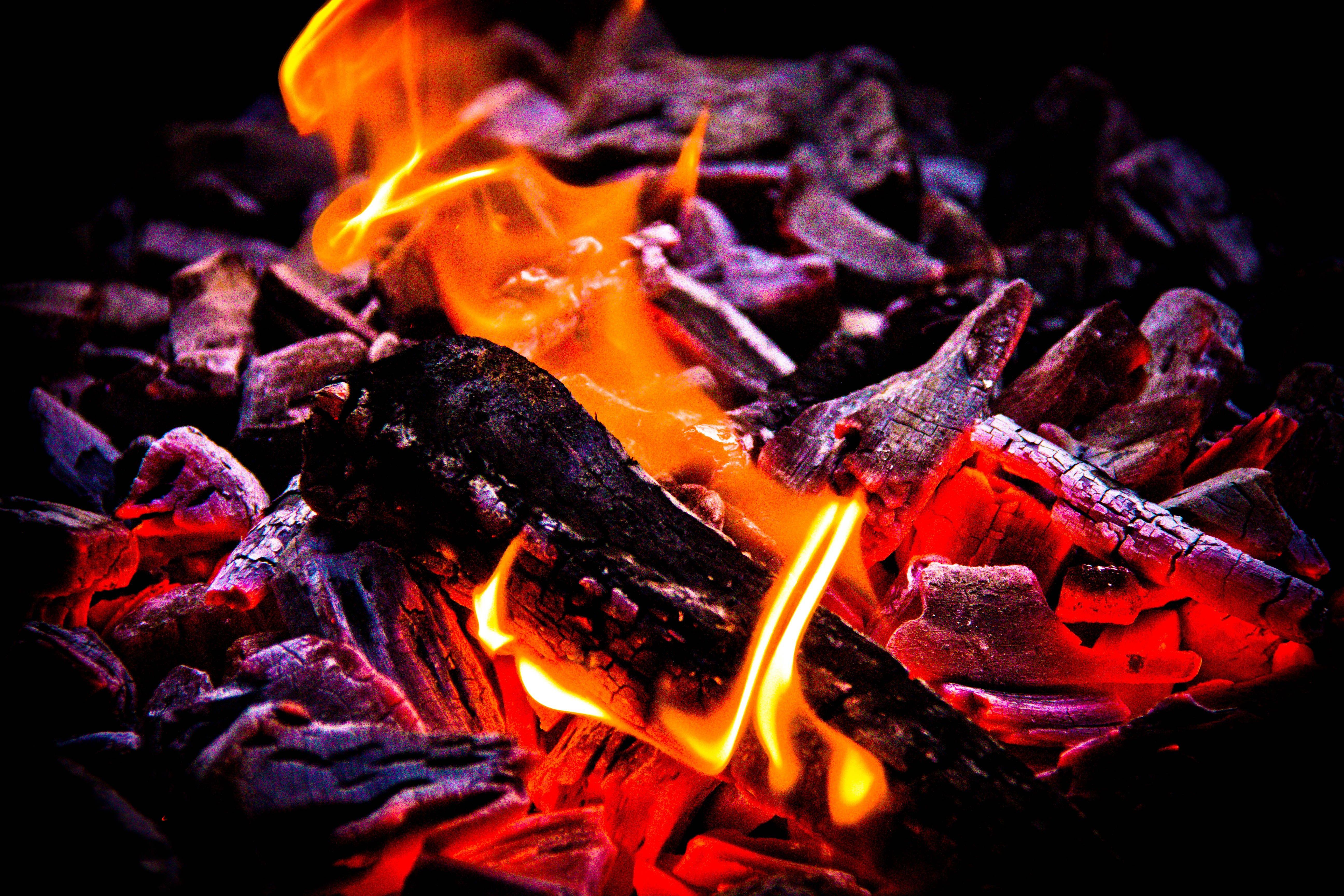 Nature: Season Winter Family Coal Powell Hot Embers Red Joy Fire