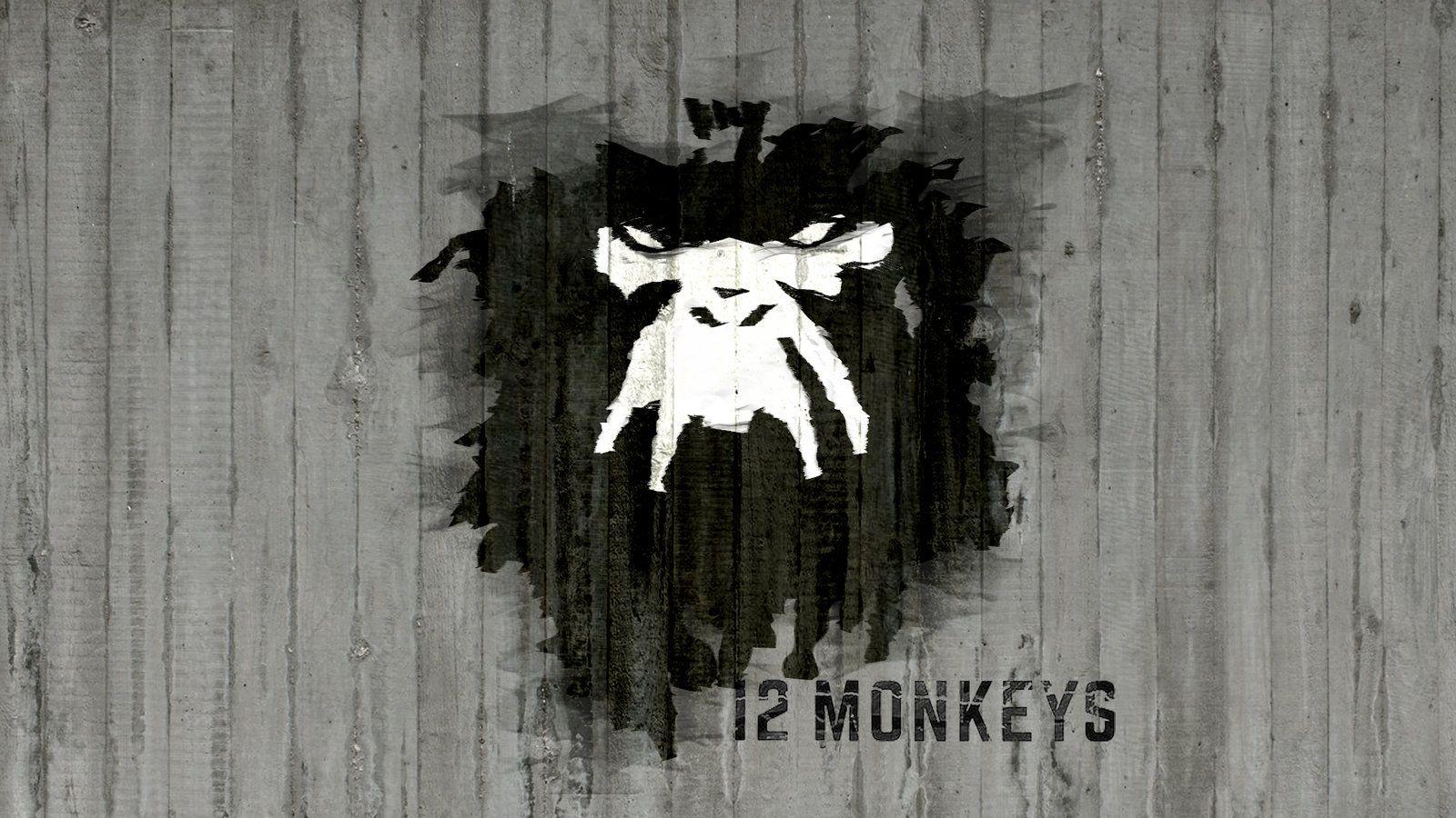 Monkeys Wallpaper