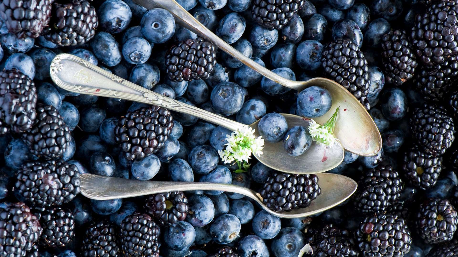 Blueberries Fruits Wallpaper