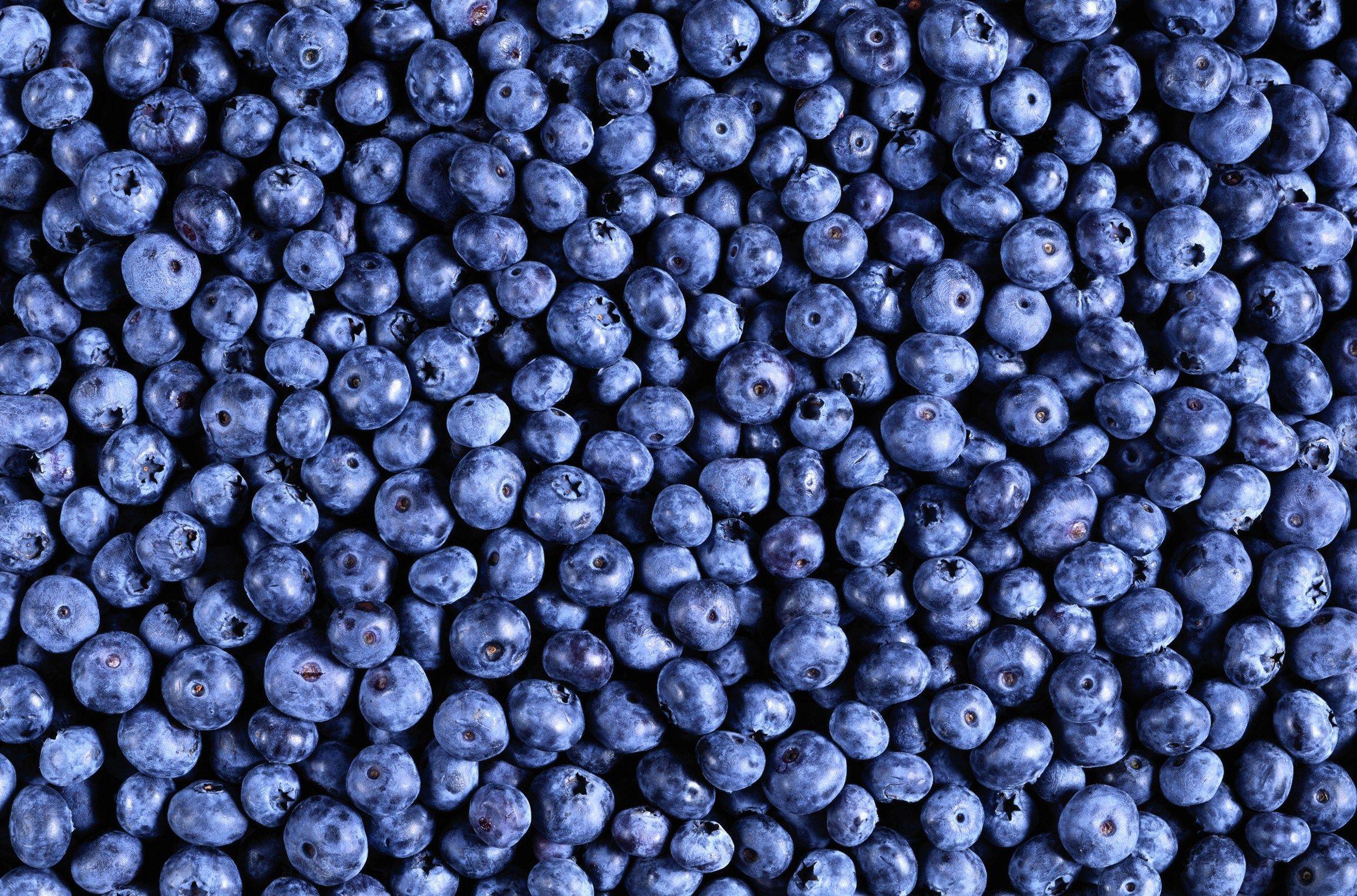 high resolution wallpaper widescreen blueberry
