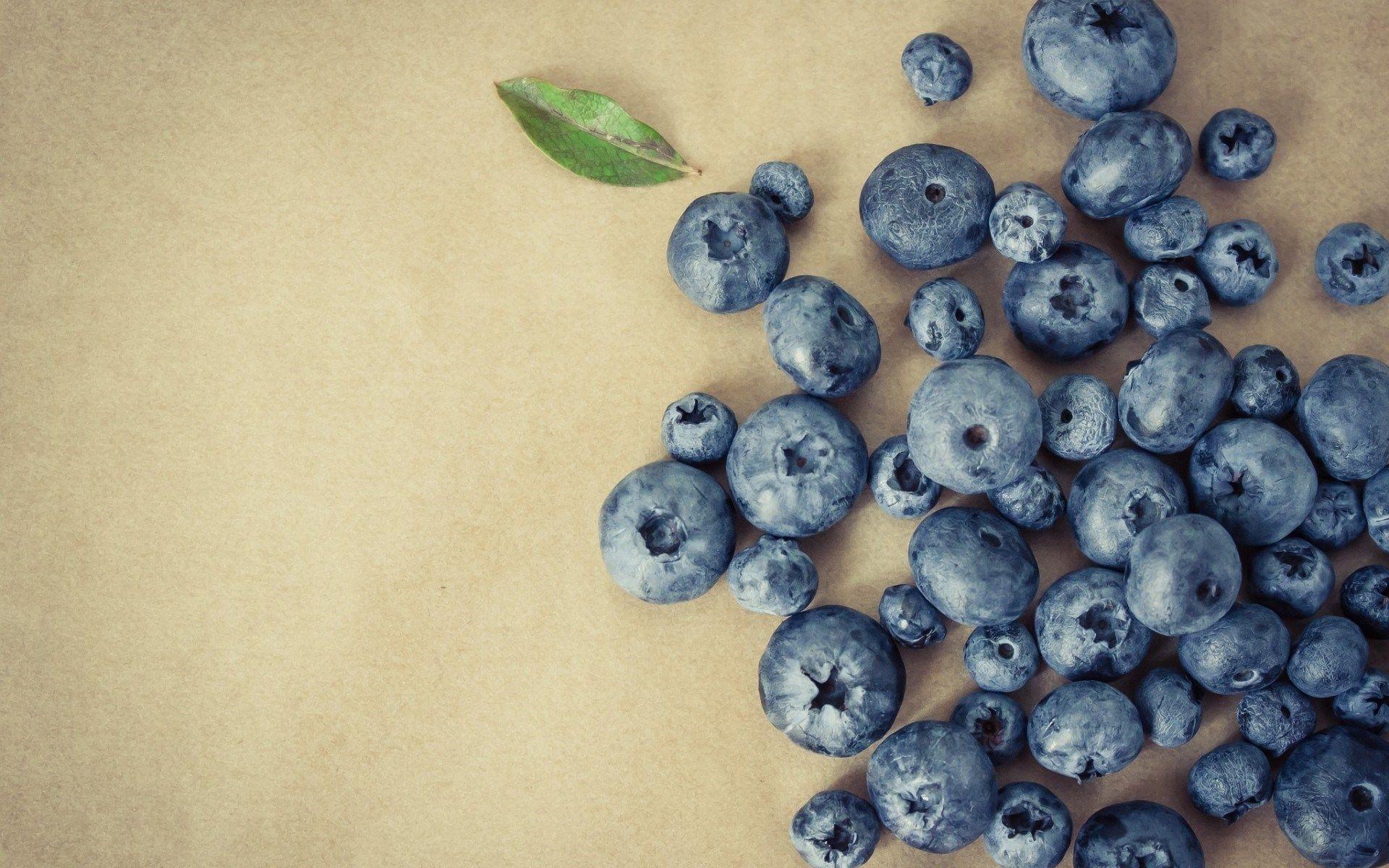 Blueberries Wallpaper 643 1920 x 1200
