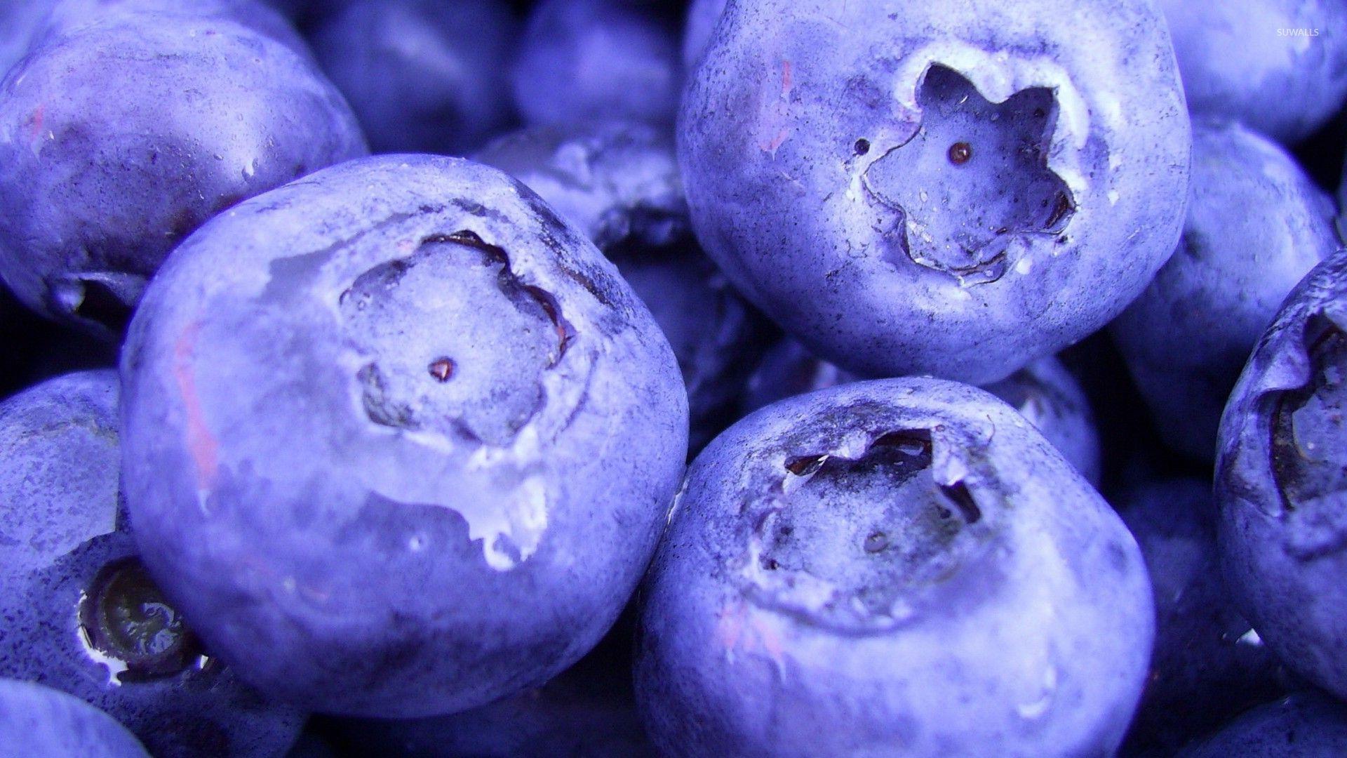 Blueberries wallpaper wallpaper