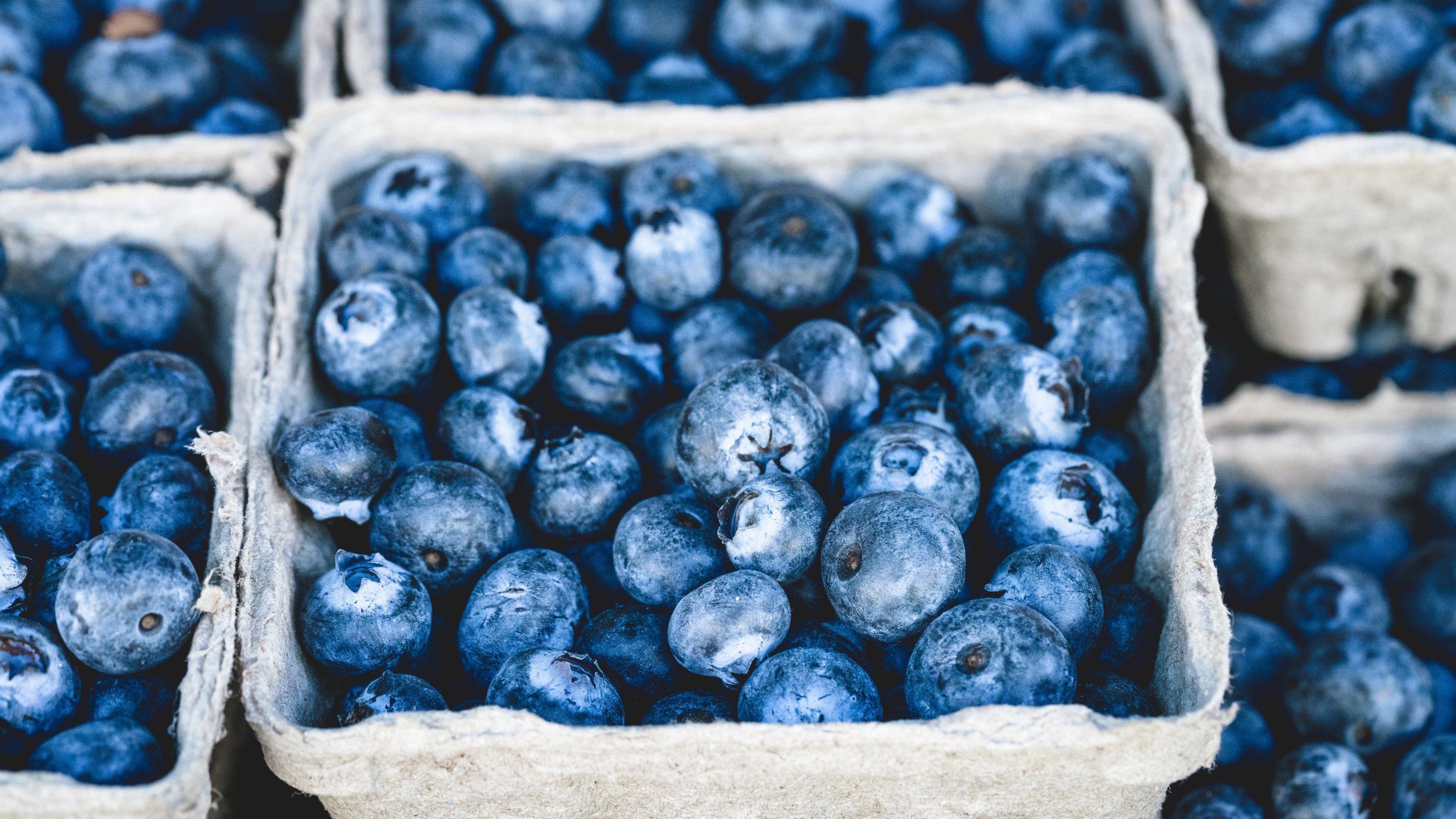 Fresh Blueberries Wallpaper & Desktop Background