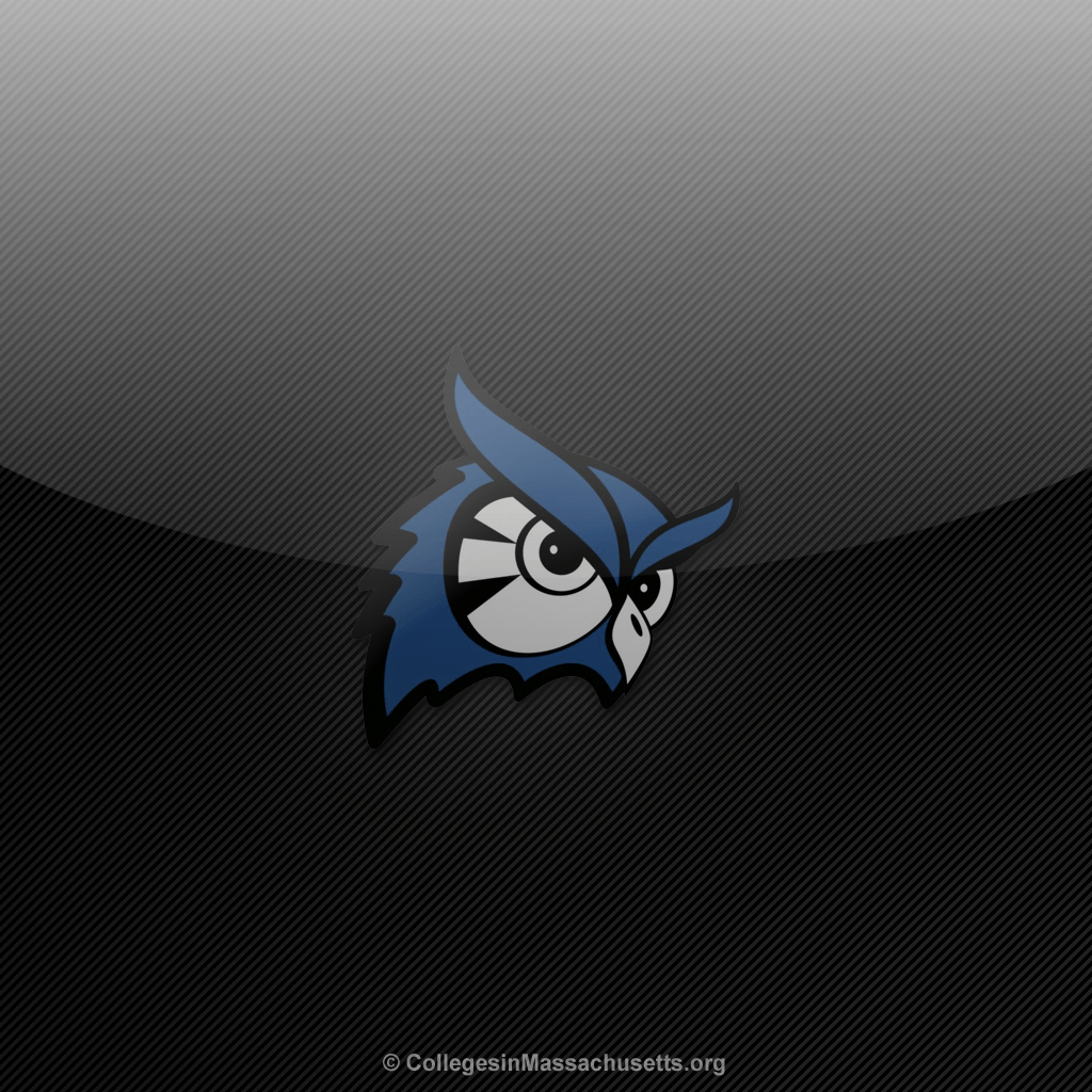 Wallpaper Archives in Massachusetts