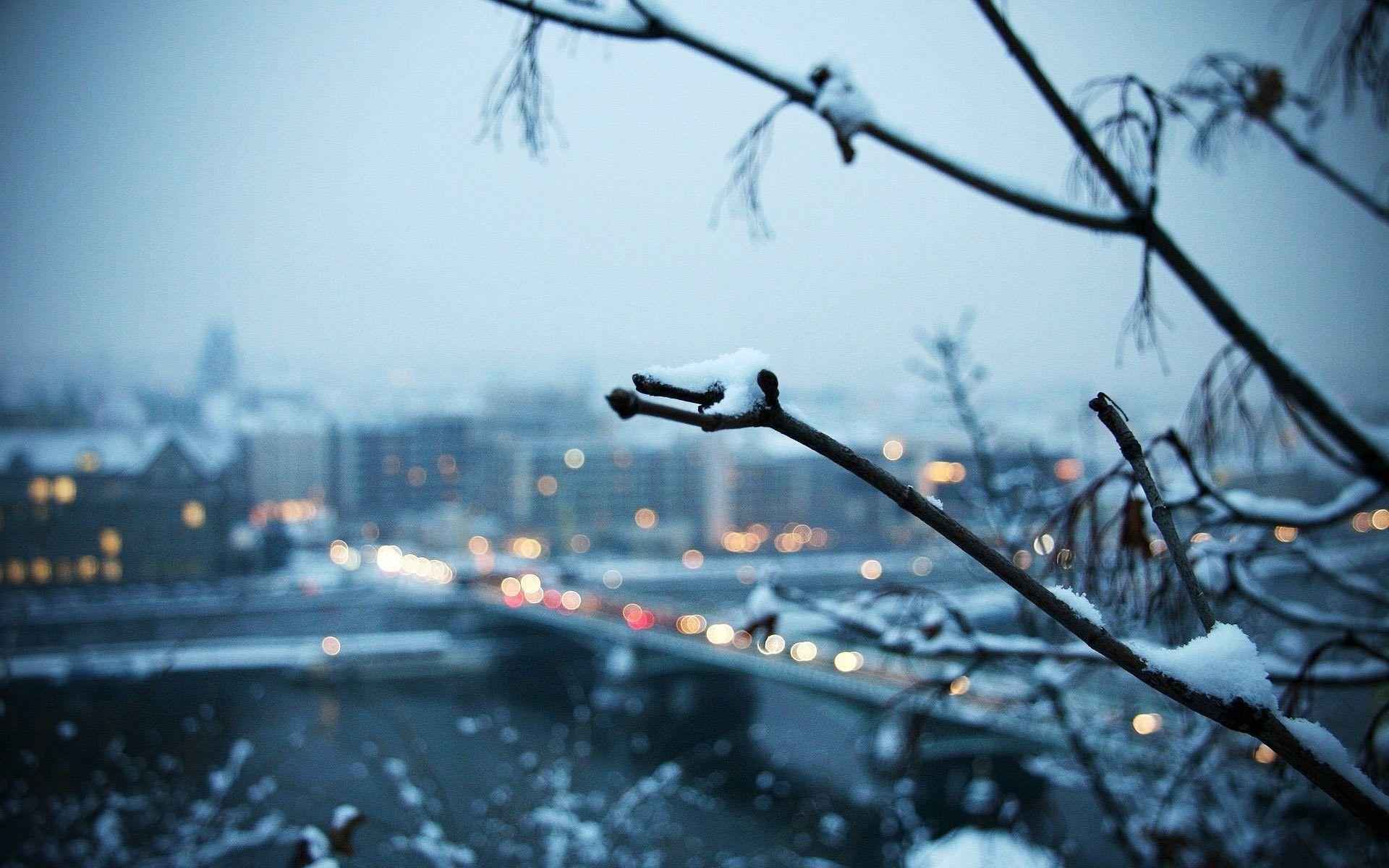 winter, Landscape, Trees, Depth Of Field, Snow, City Wallpaper HD