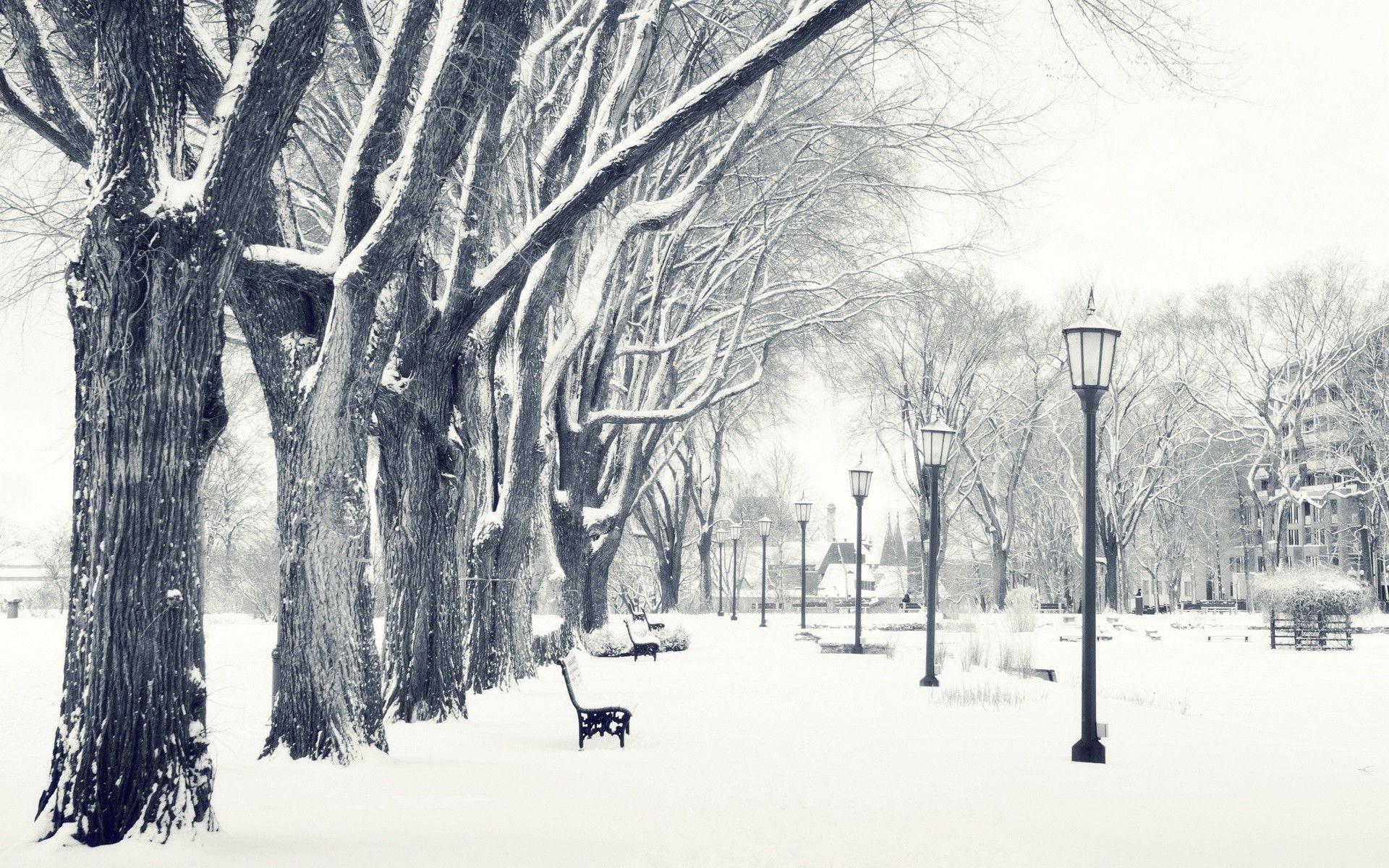 photography, Landscape, Nature, Winter, Trees, Snow, Urban, City