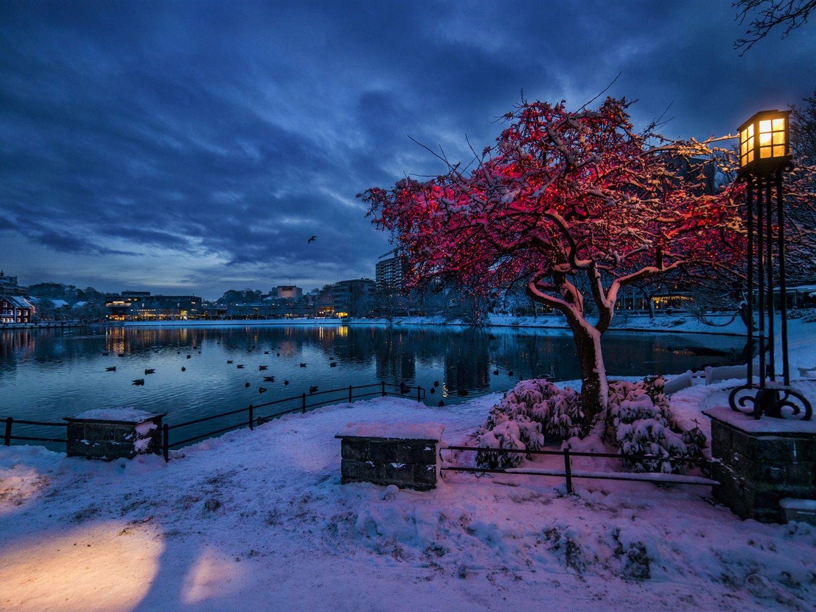 Norway City At Night