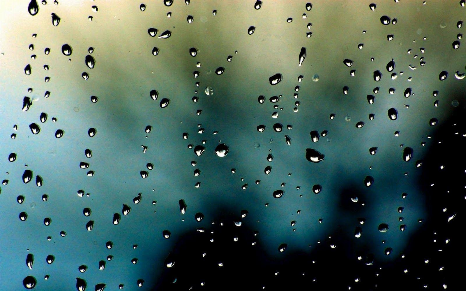 Rain Drops Wallpaper