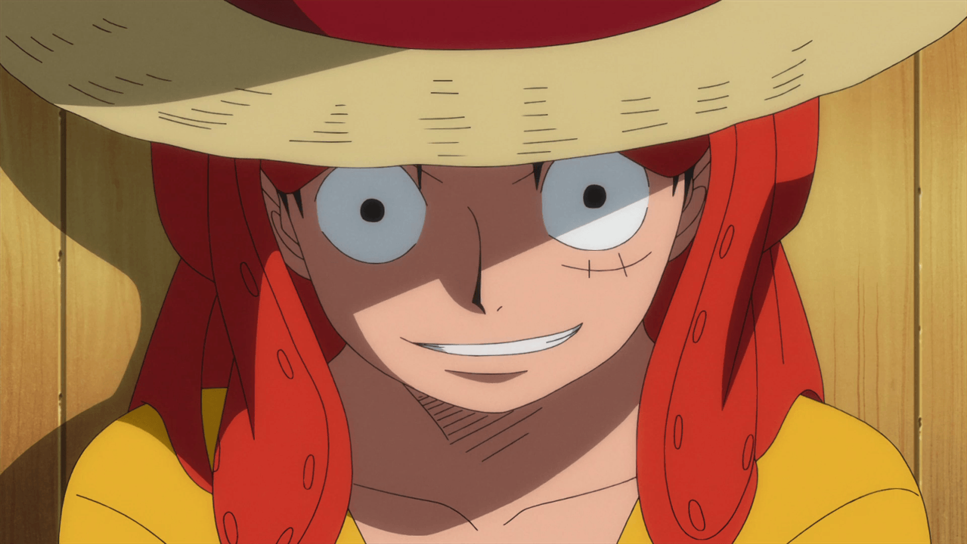 Anime Expo One Piece Panel Reveals Film Z English Dub Cast