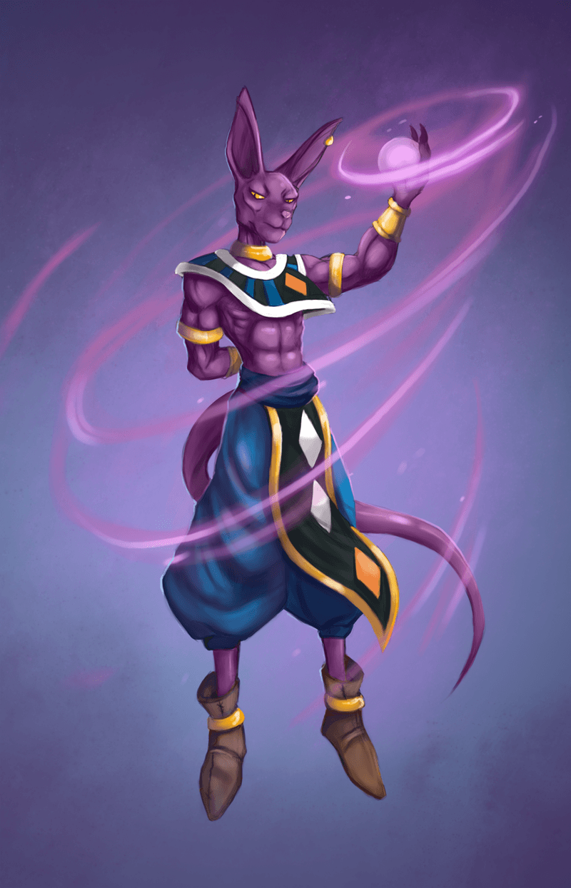 37 Beerus HD wallpaper  Pxfuel