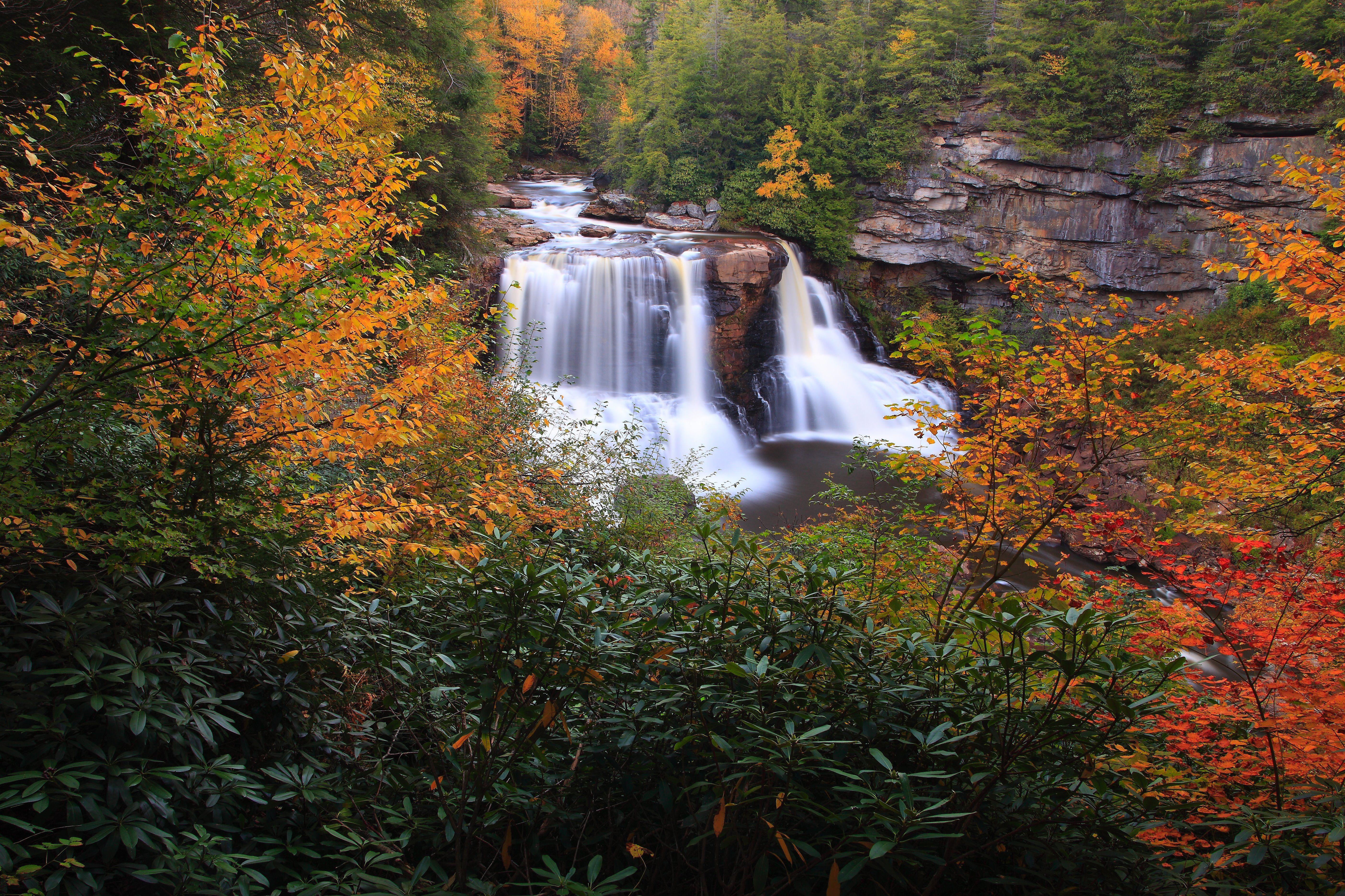 Download Foliage Scenery West Virginia Forest Wande Wallpaper HD