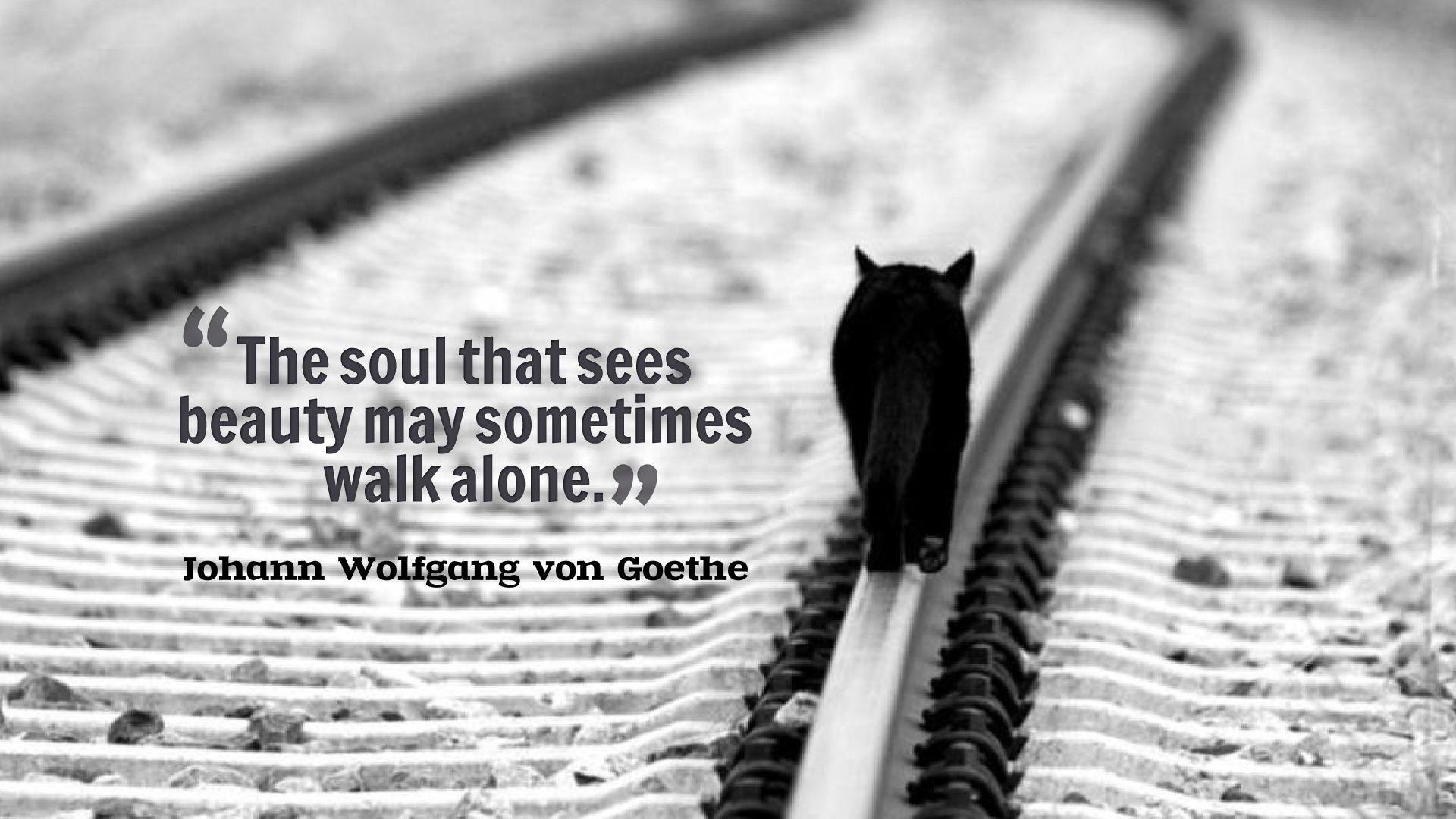 Alone Quotes Background Wallpaper 13035