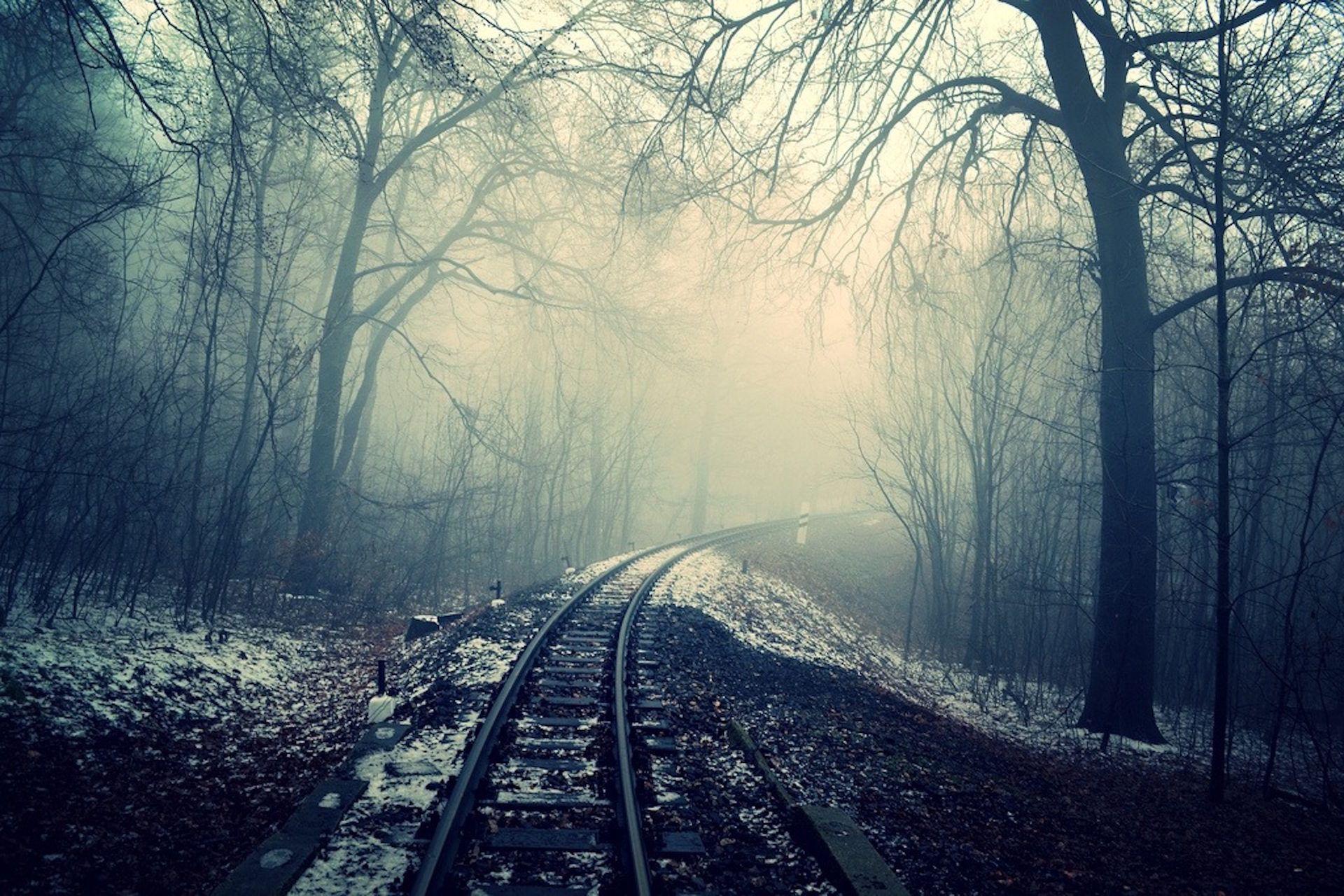 vías, tren, niebla, bosque, soledad, 1610242226. Fondos de