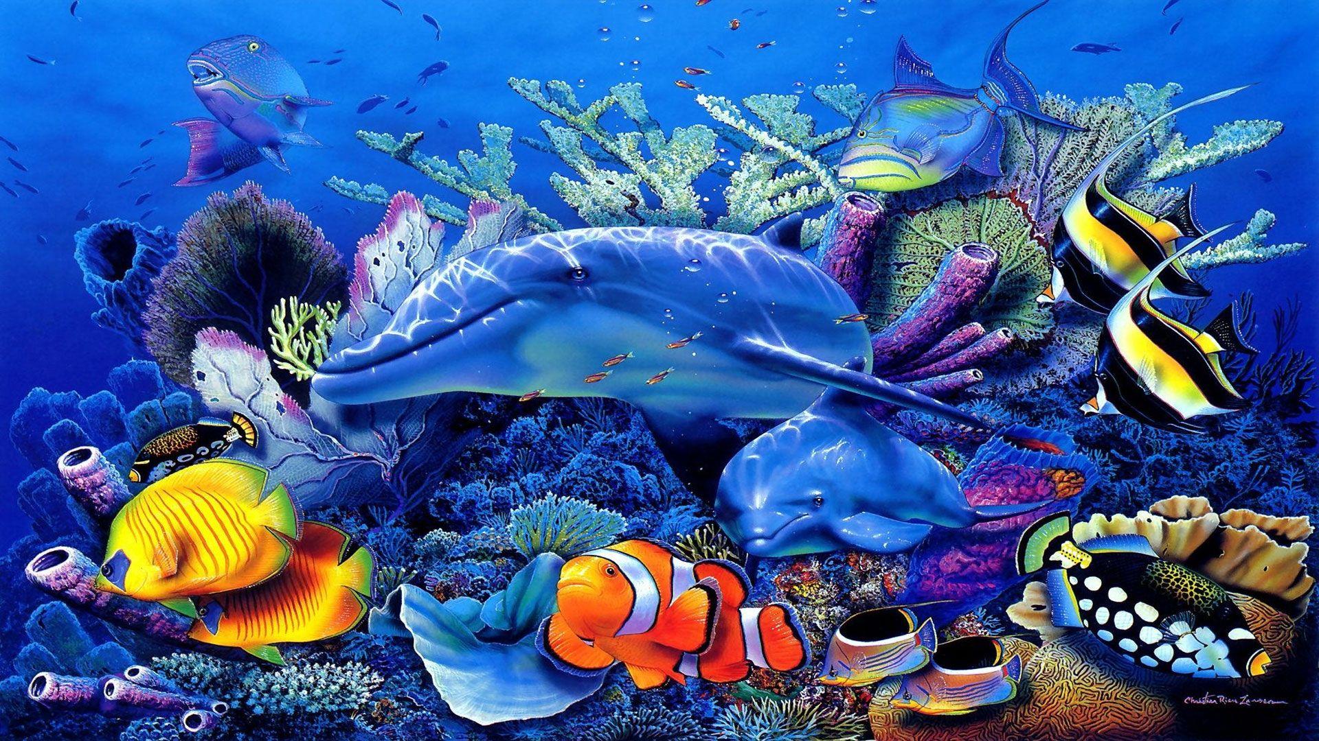 fish sea HD wallpaper