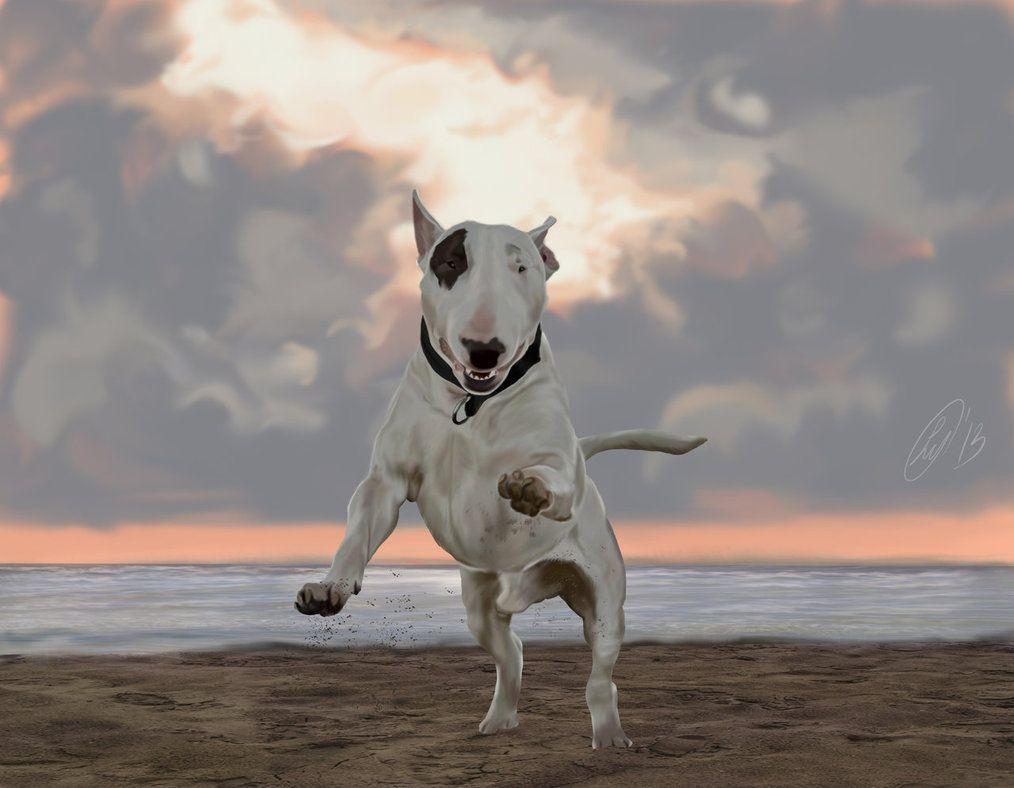 English Bull Terrier Painted