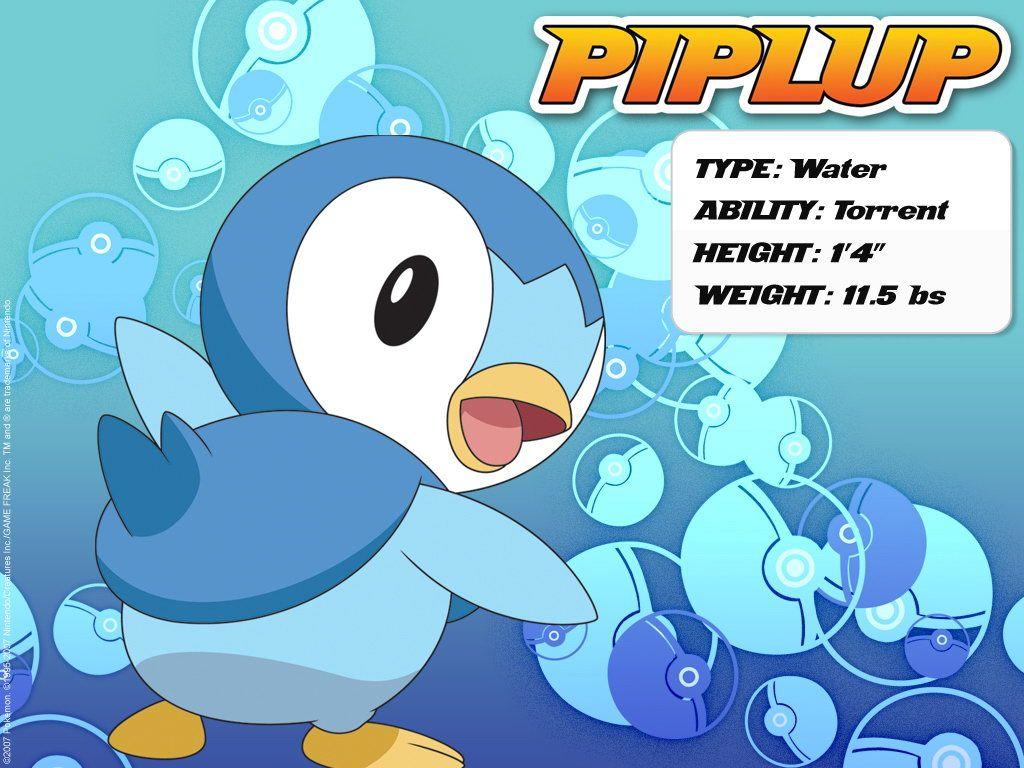 Pokemon water piplup blue HD wallpaper  Peakpx