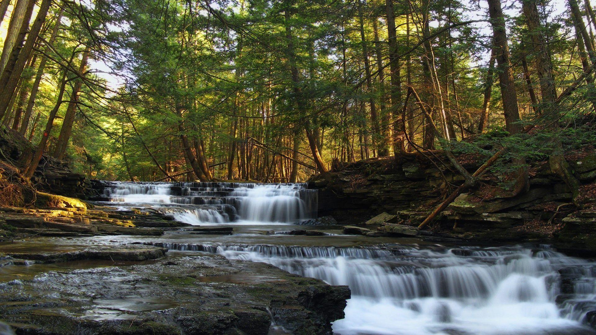 Pennsylvania Tag wallpaper: Forest Logan Usa Nature Run Falls