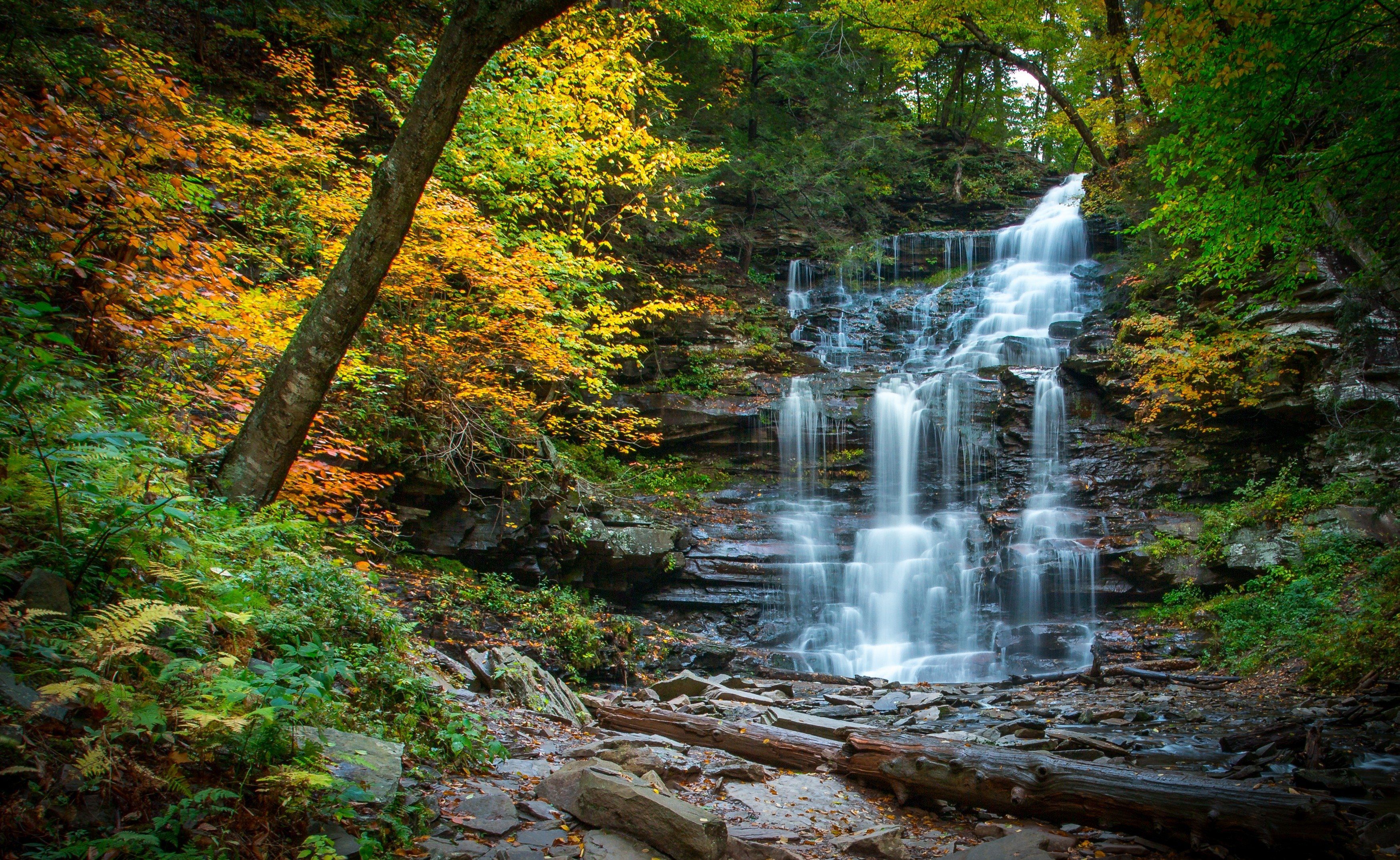 waterfall, cascade, river, forest, autumn, stones, pennsylvania