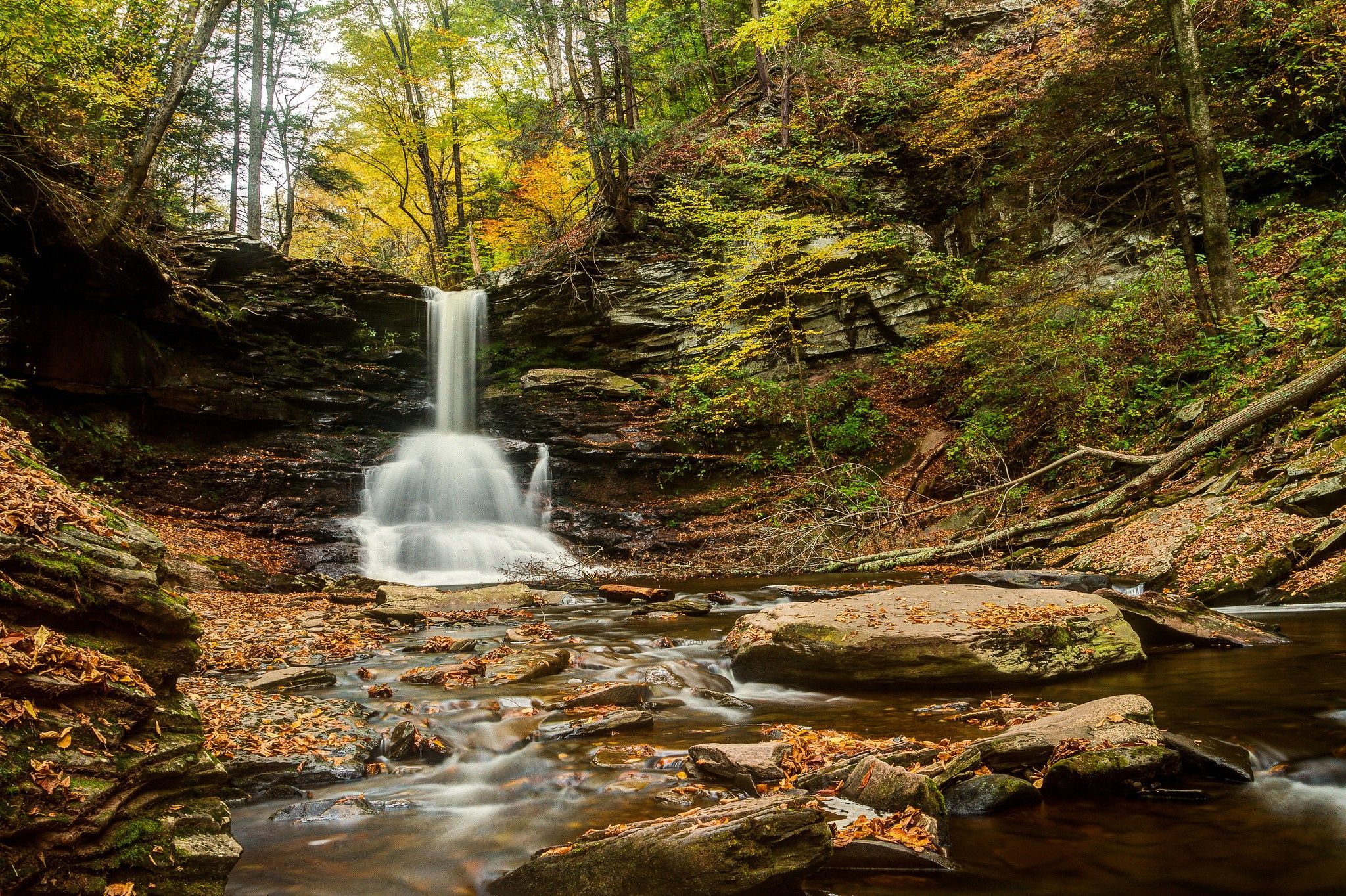Waterfalls: Pennsylvania Park Forest Glen Ricketts Autumn