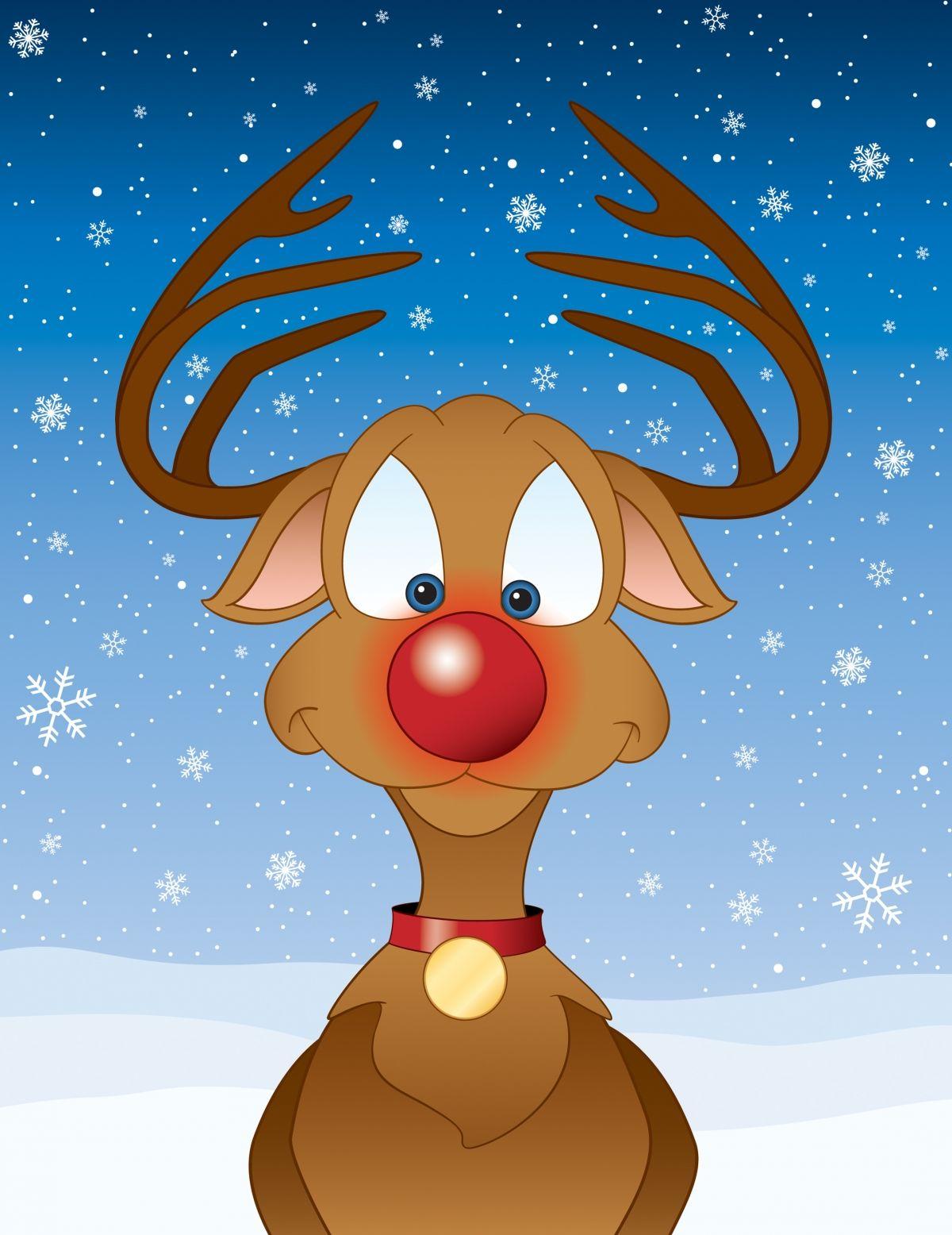 Rudolph Cartoon Reindeer HD phone wallpaper  Pxfuel