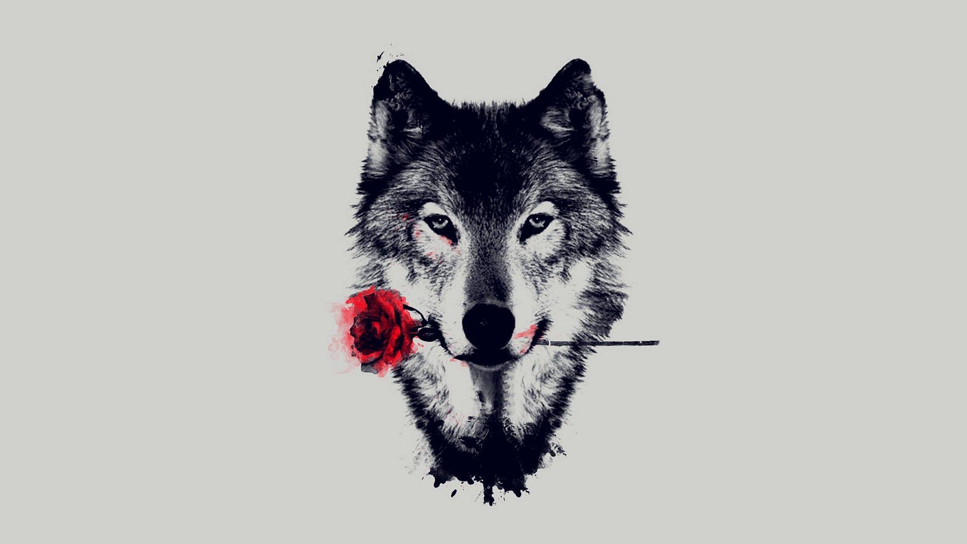 Wolf and Red Rose HD Wallpaper