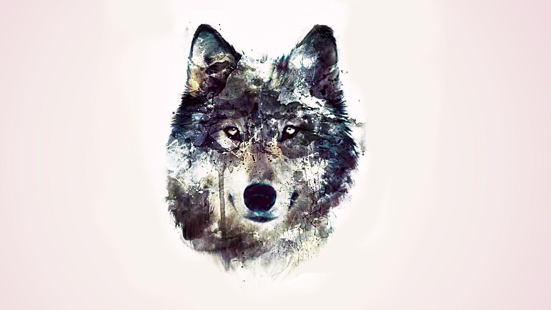 Drawn wallpaper wolf and in color drawn wallpaper wolf