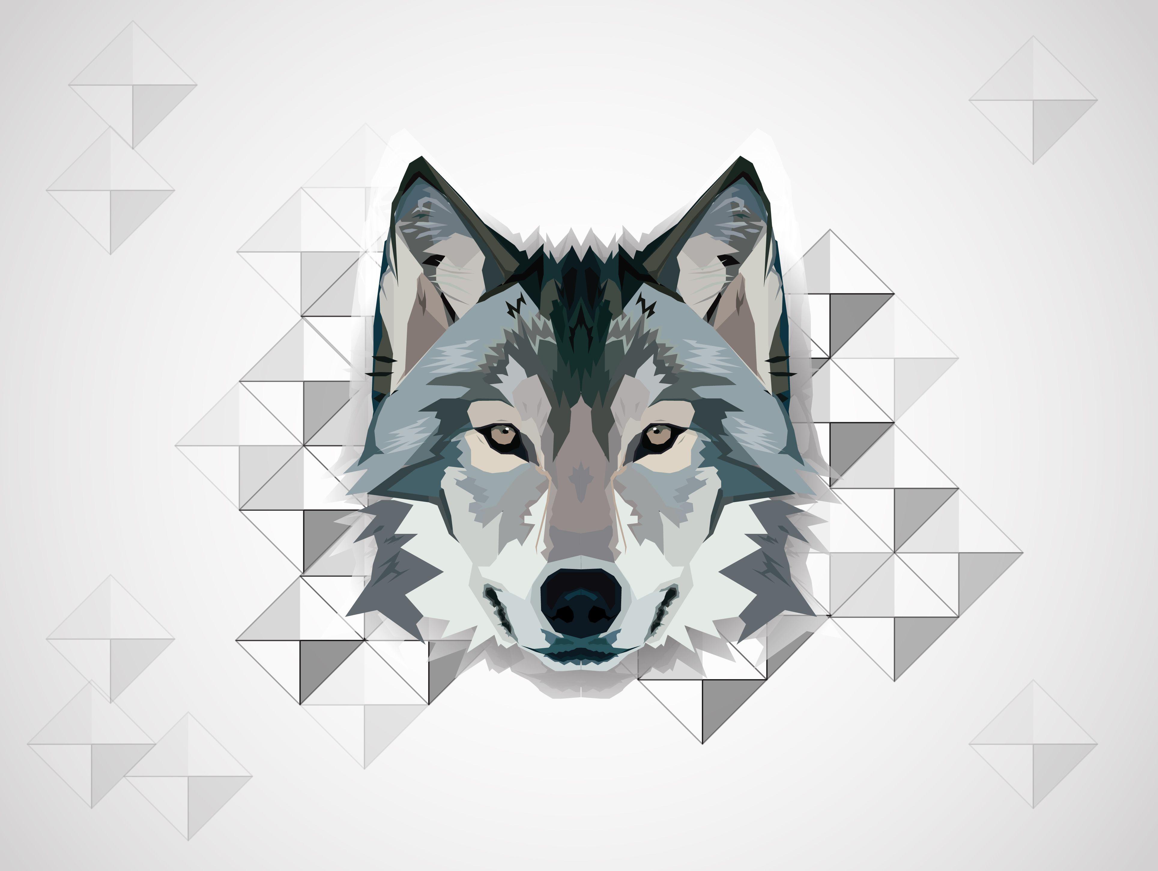 Wolf wallpaper HD free