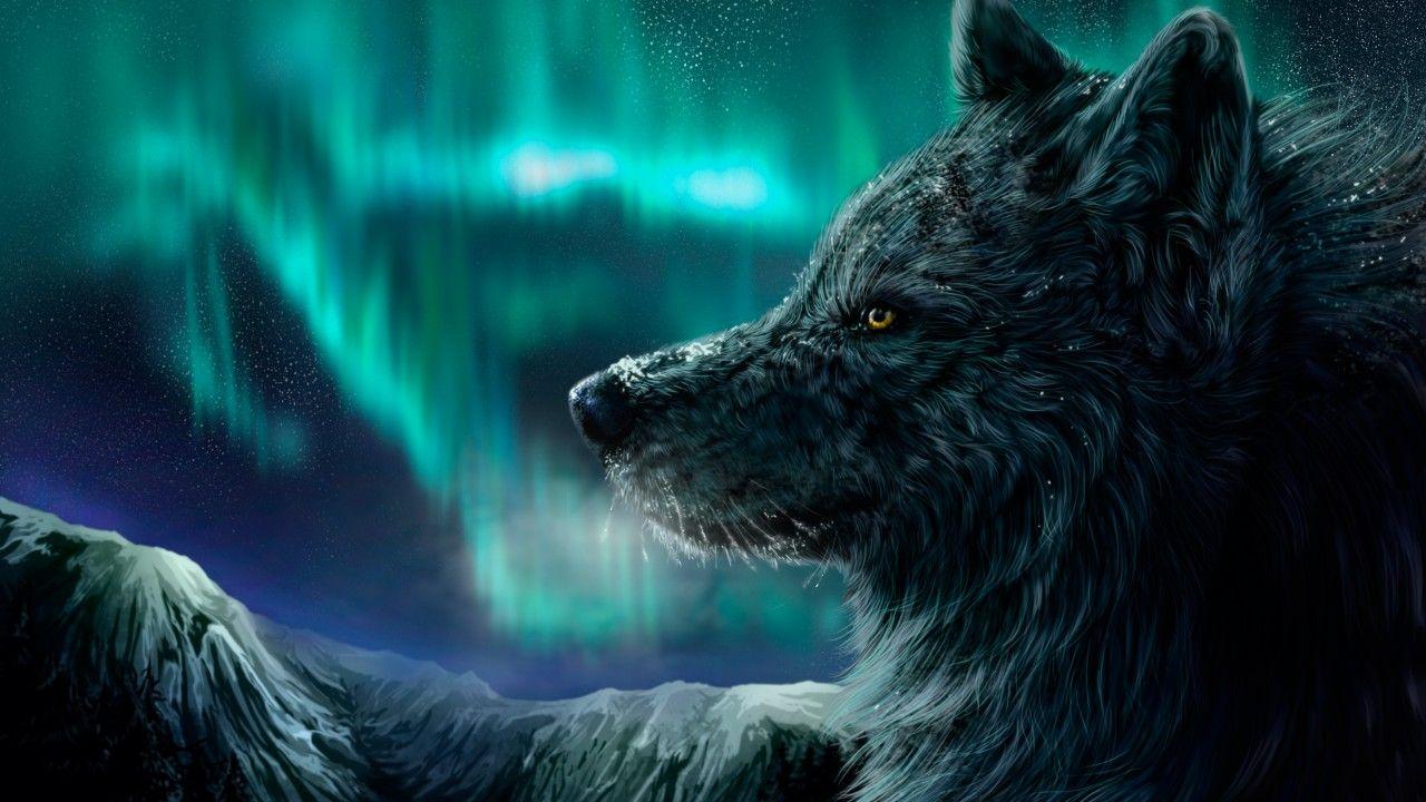 Wallpaper Wolf, aurora polaris, look, Art