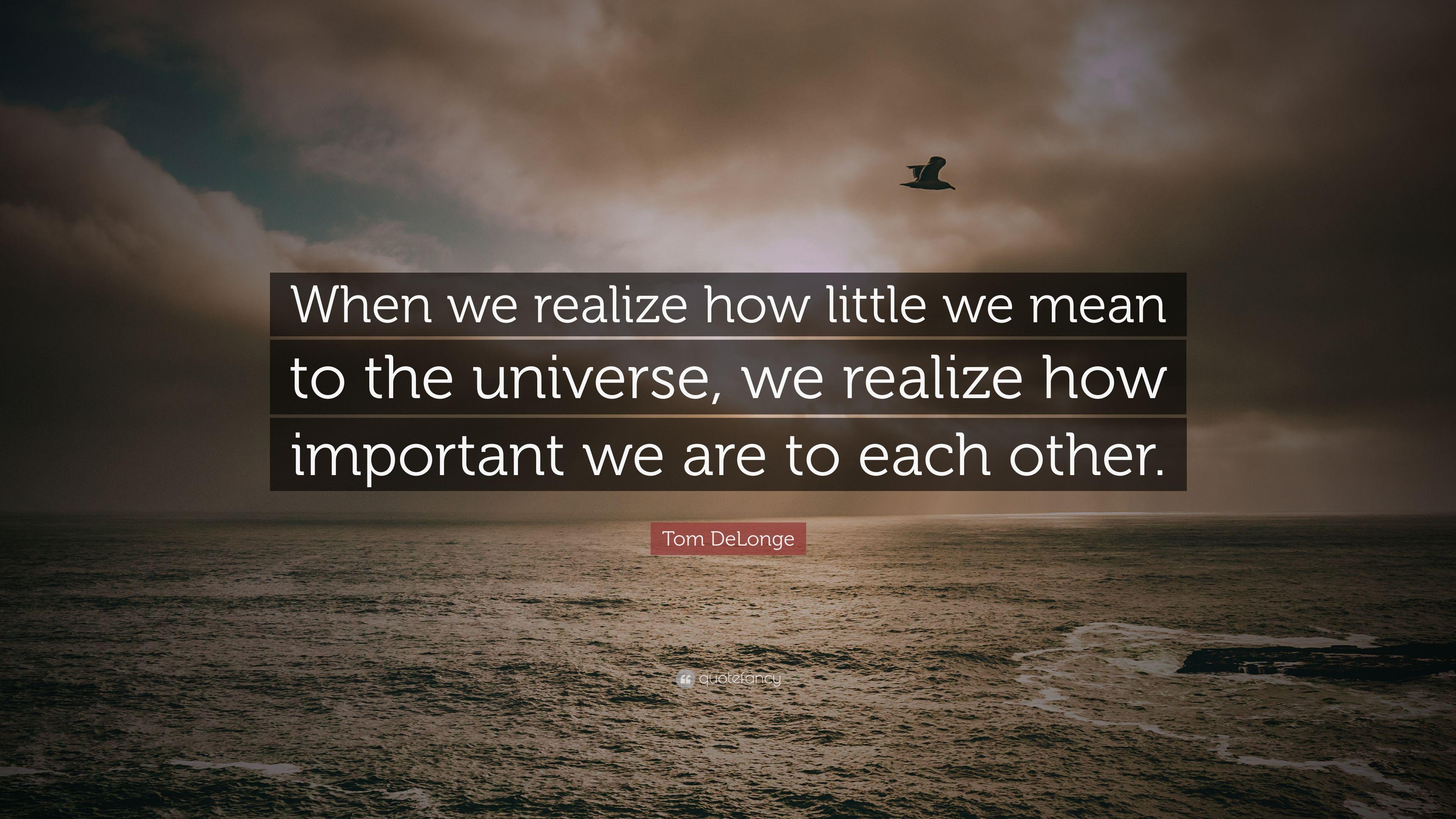 Tom DeLonge Quote: “When we realize how little we mean to