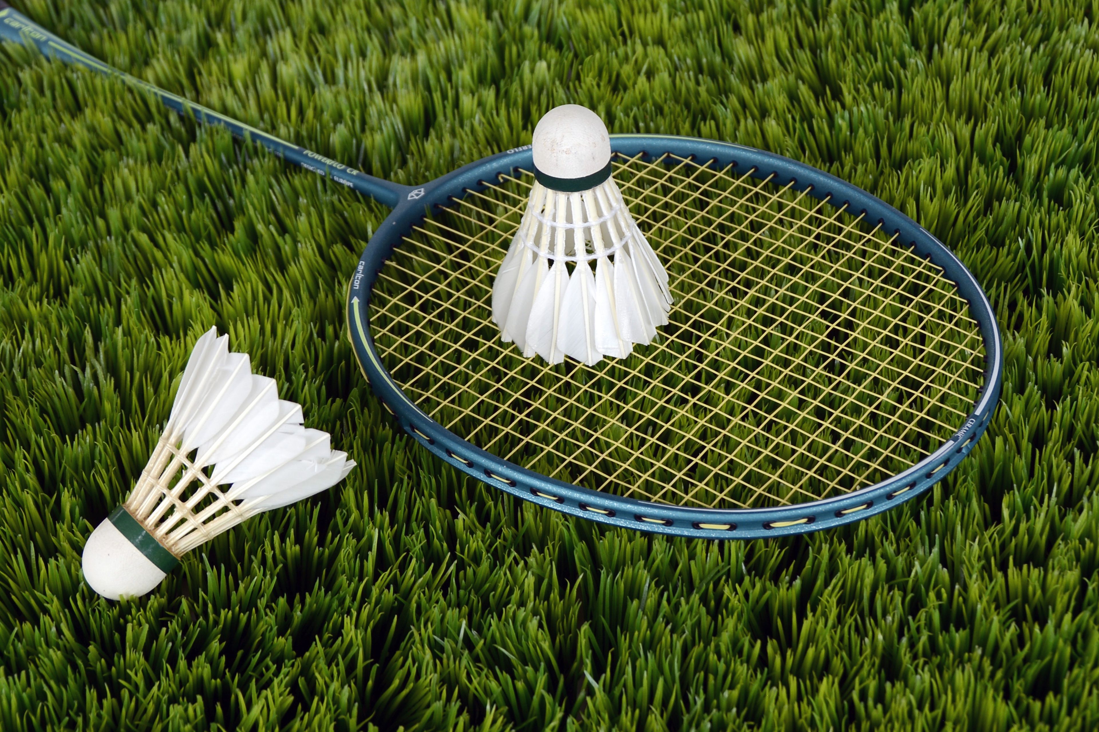 Blue Badminton Racket With Shuttlecock · Free