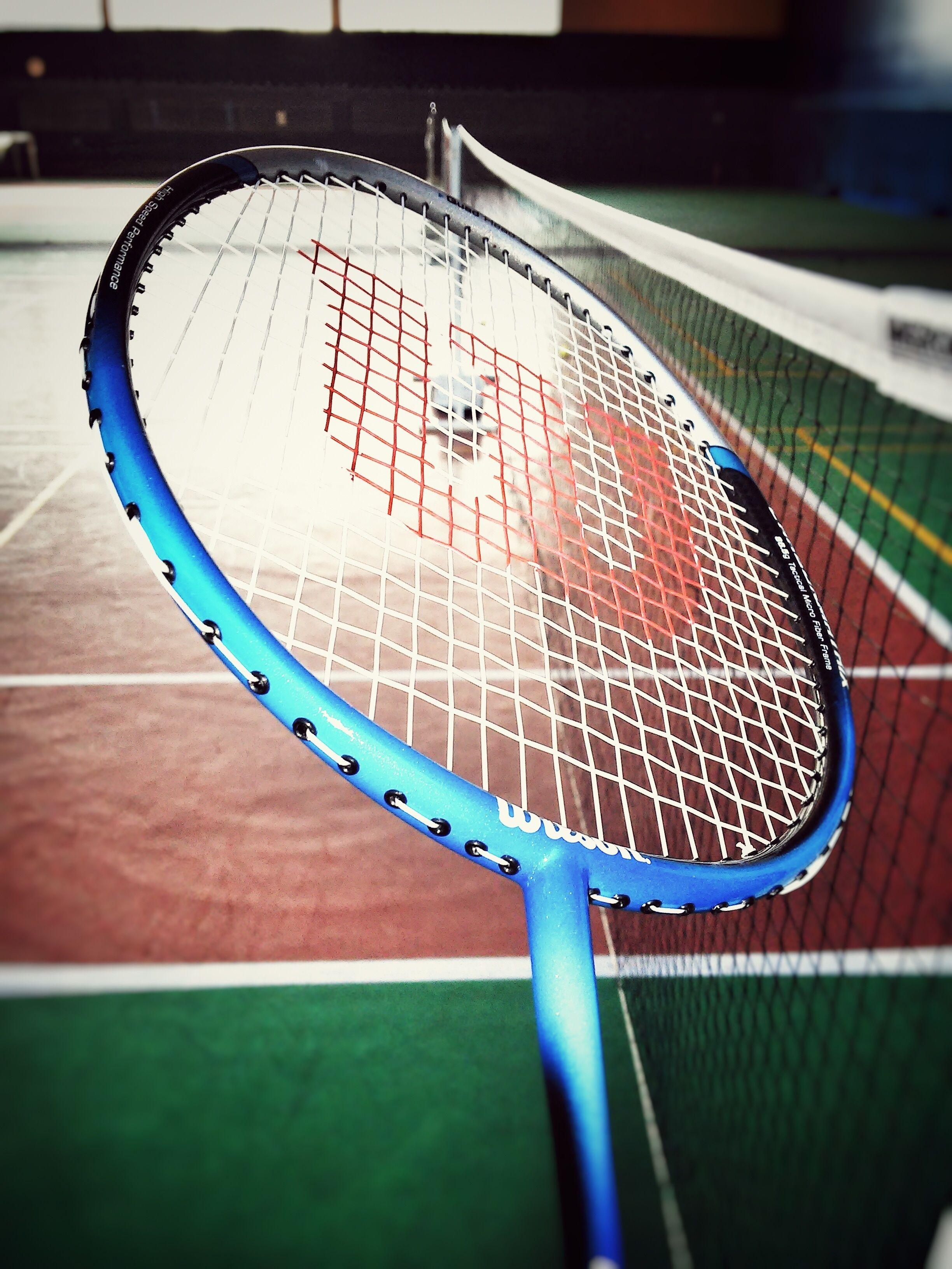blue and black wilson badminton racket free image