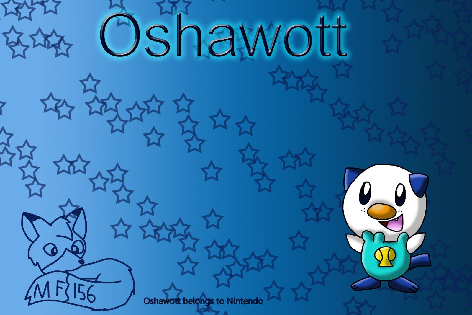 Oshawott Pokemon Oshawott HD phone wallpaper  Pxfuel