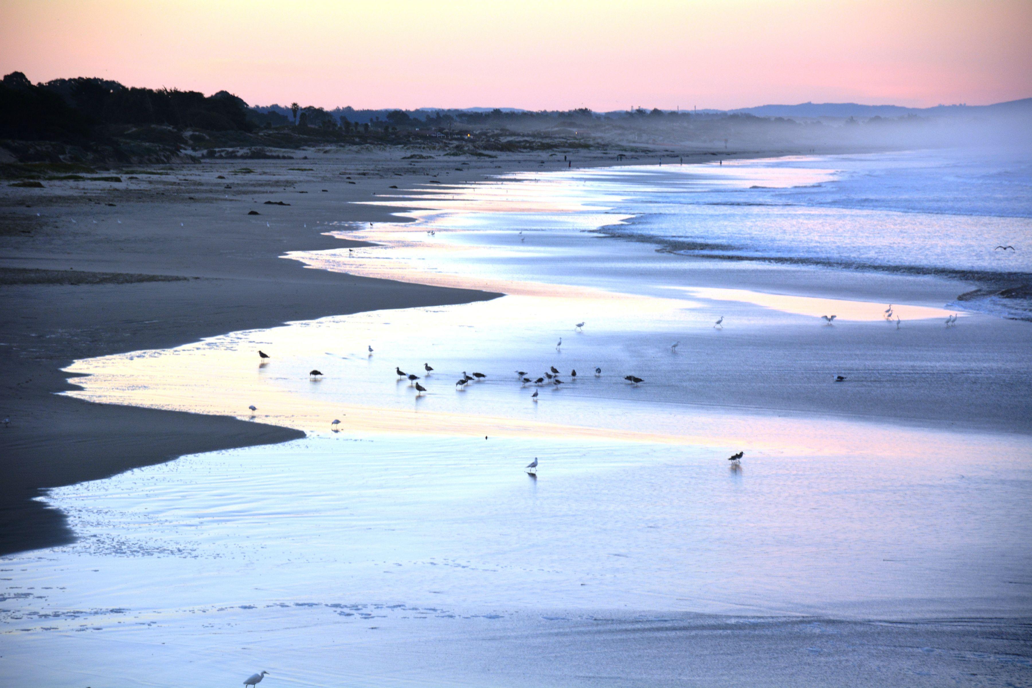 Sunrise in Pismo Beach (id: 157149)