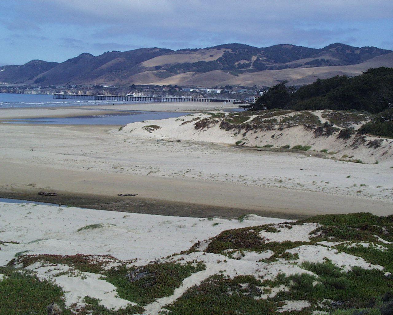 PIsmo Beach 14, November 10th