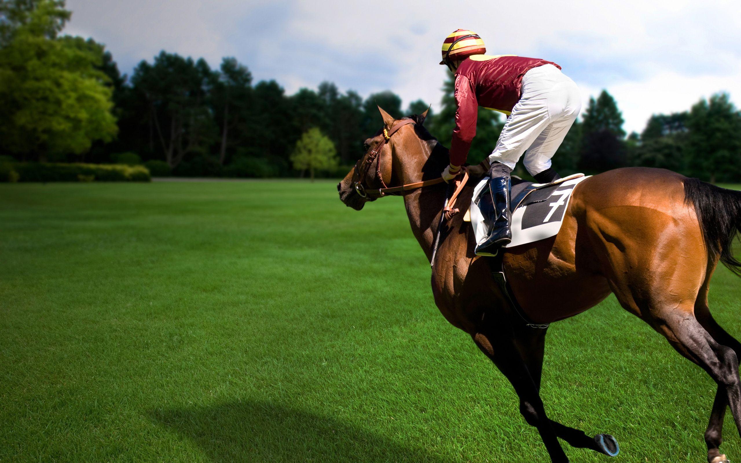 Horse Racing Full HD Wallpaper and Backgroundx1600