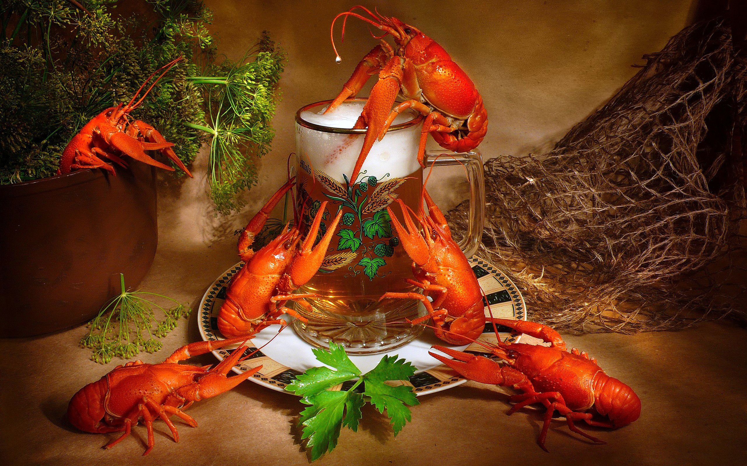Lobster Full HD Wallpaper and Backgroundx1600