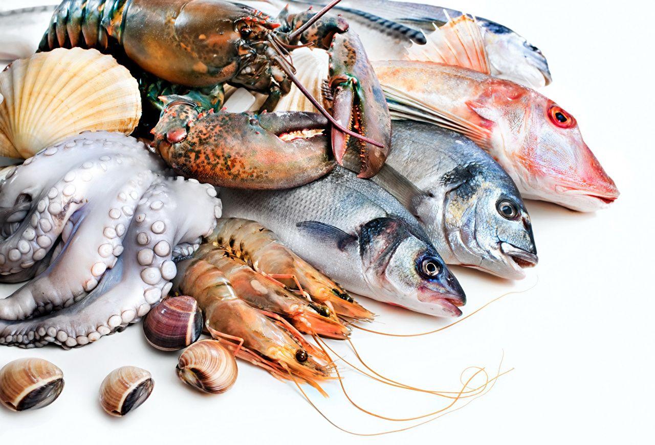 Picture Fish Lobster Caridea Food Seafoods