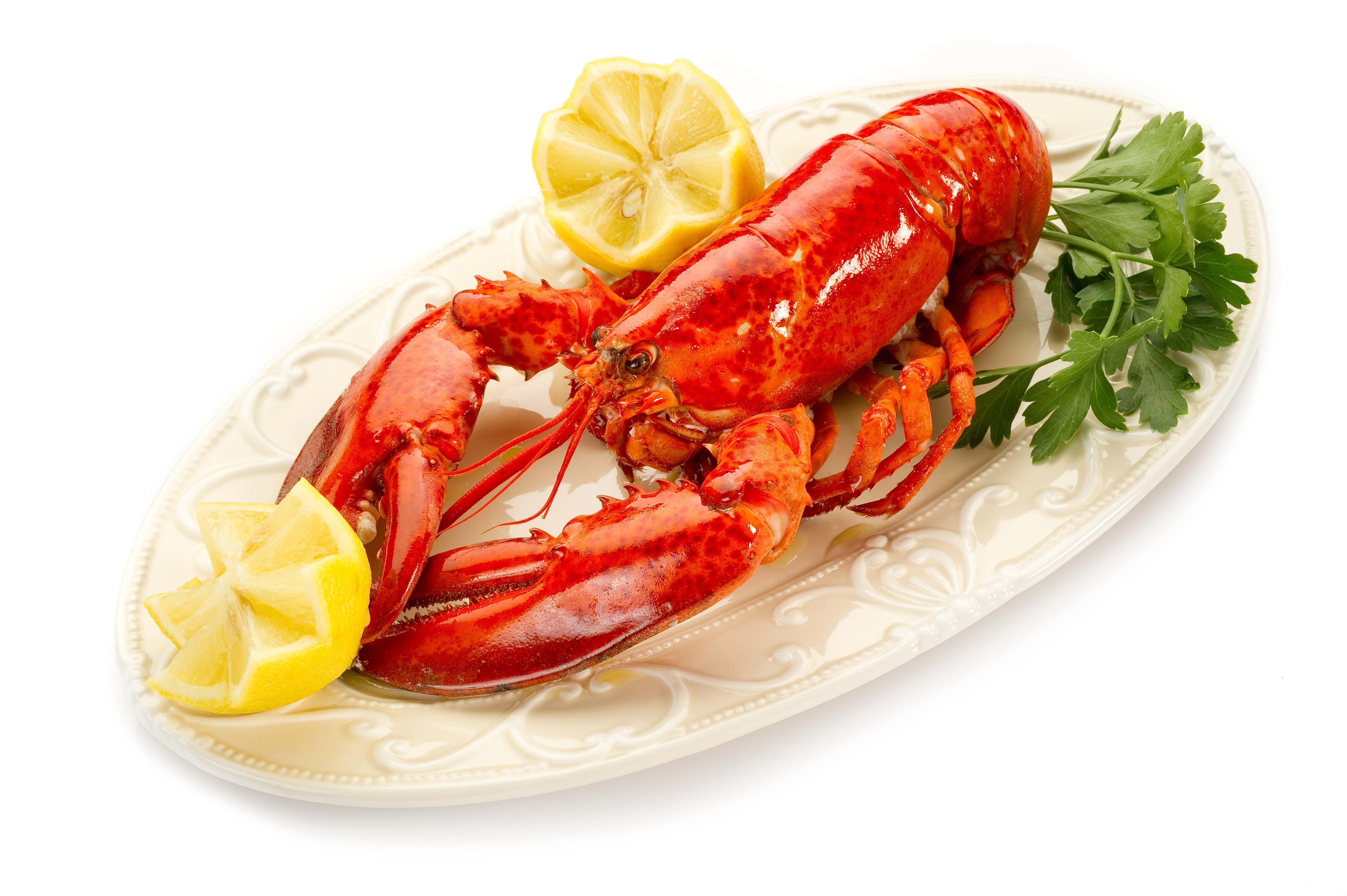 Wallpaper Lobster, Parsley, Plate, Lemons, White background, Dish