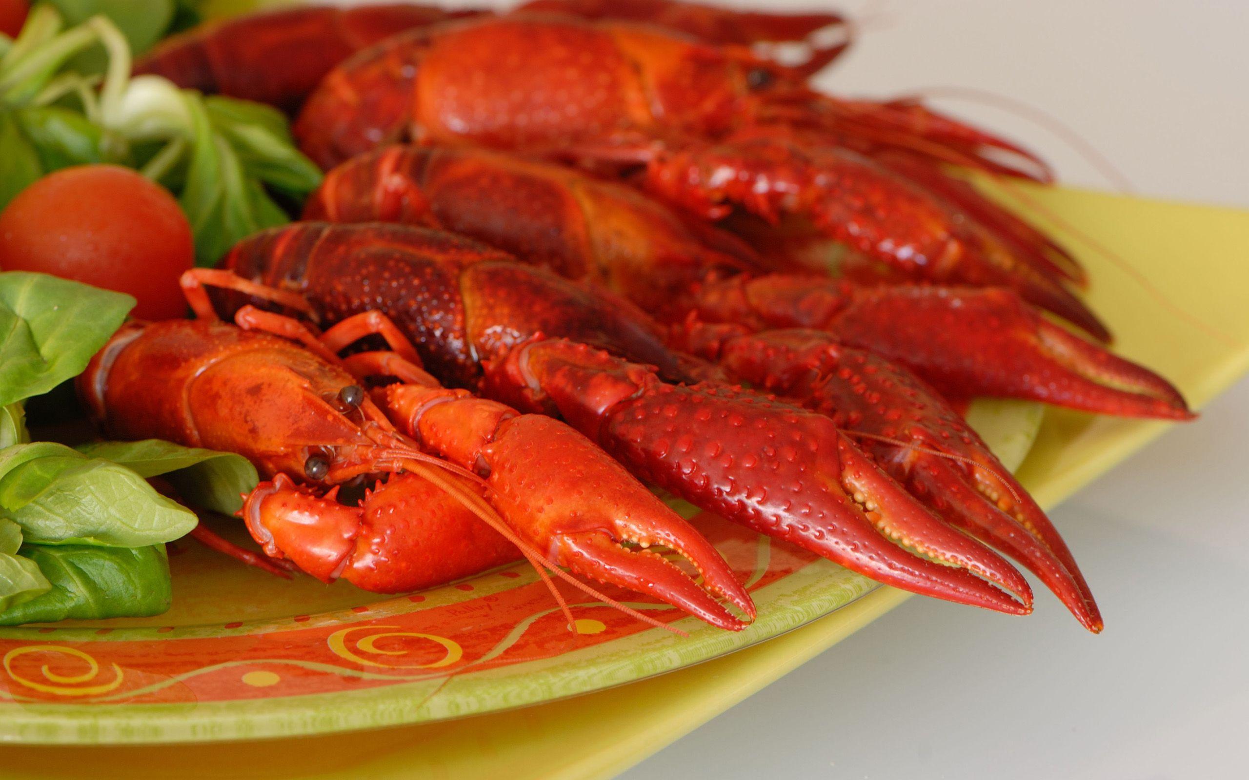 Crawfish or Crawdaddy's Full HD Wallpaper and Background
