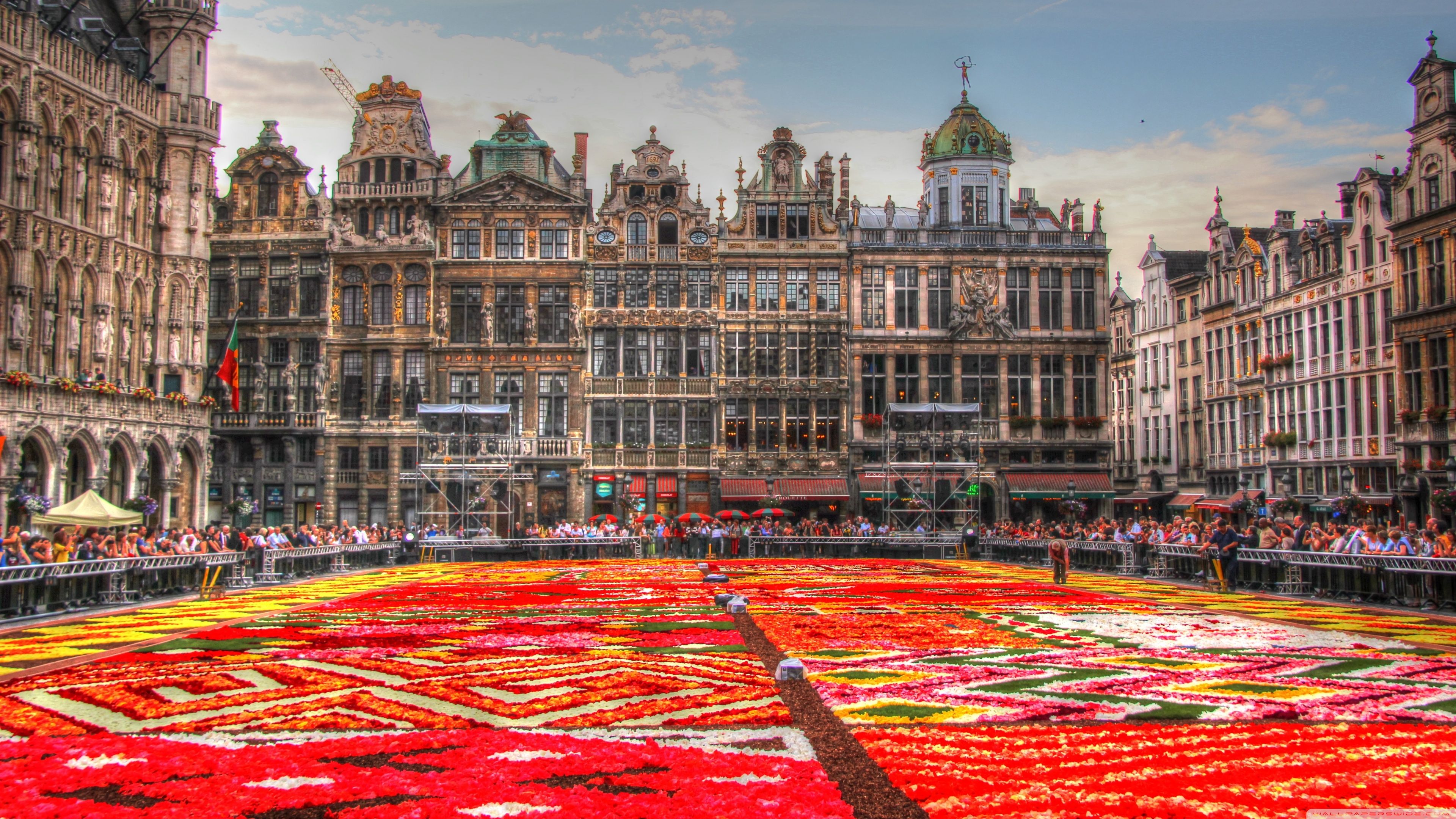 Flower Carpet Place, Belgium ❤ 4K HD Desktop